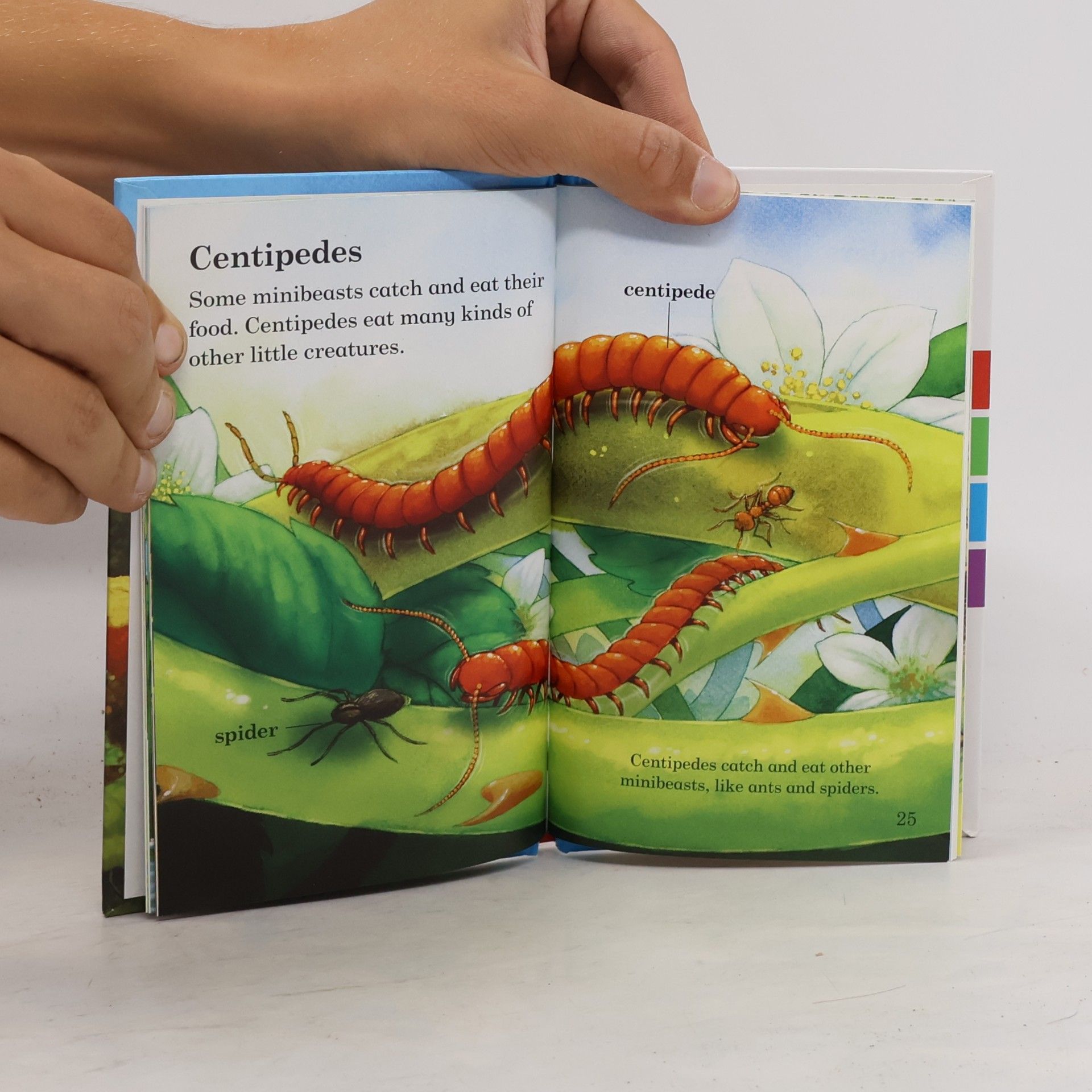 Various authors Read It Yourself With Ladybird - 3: Minibeasts