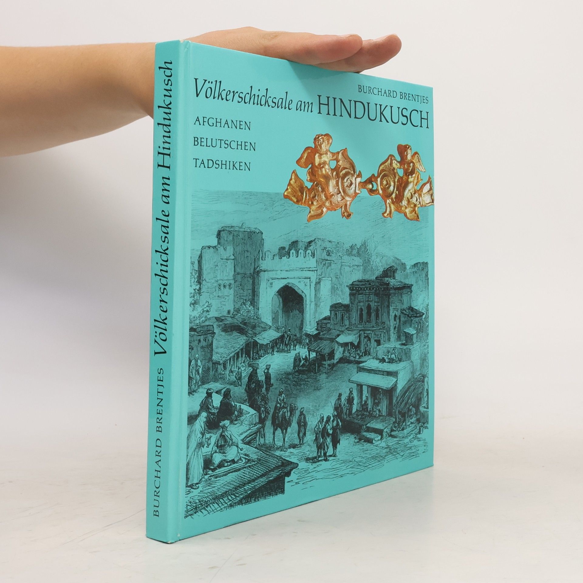 Burchard Brentjes Völkerschicksale am Hindukusch