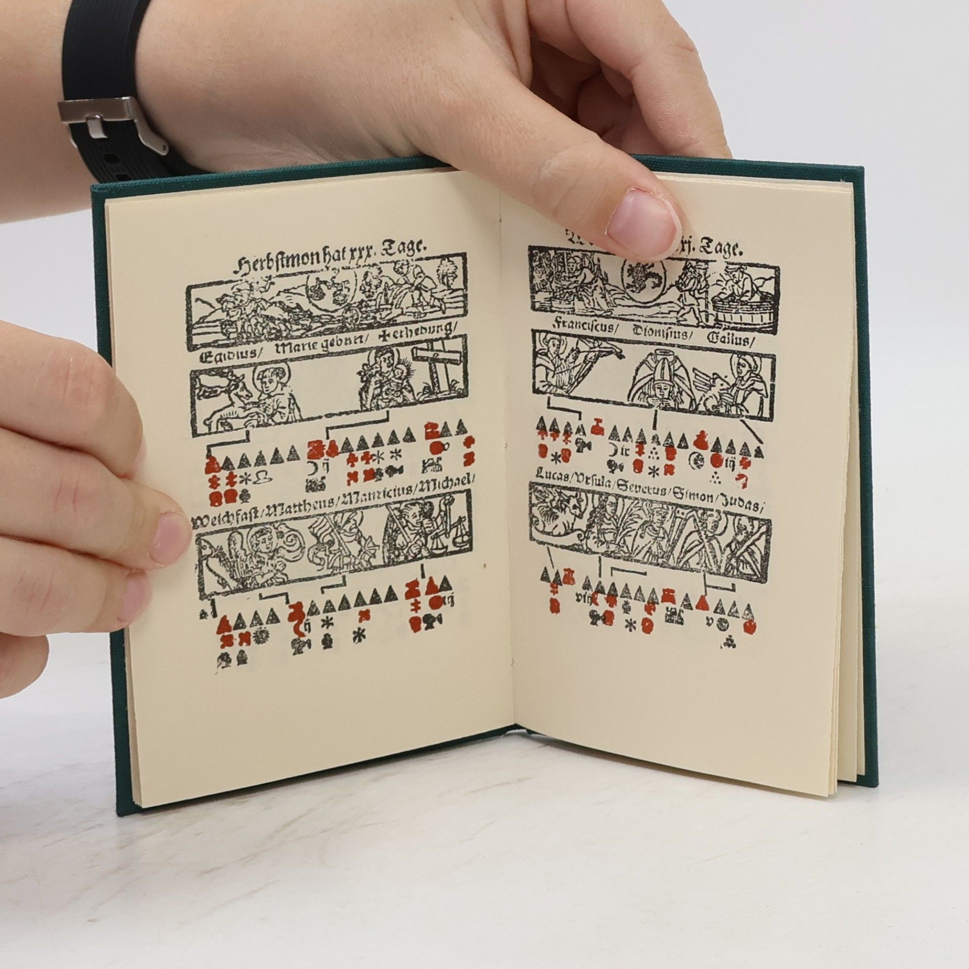 kolektiv Der Bawrn Calender 1589