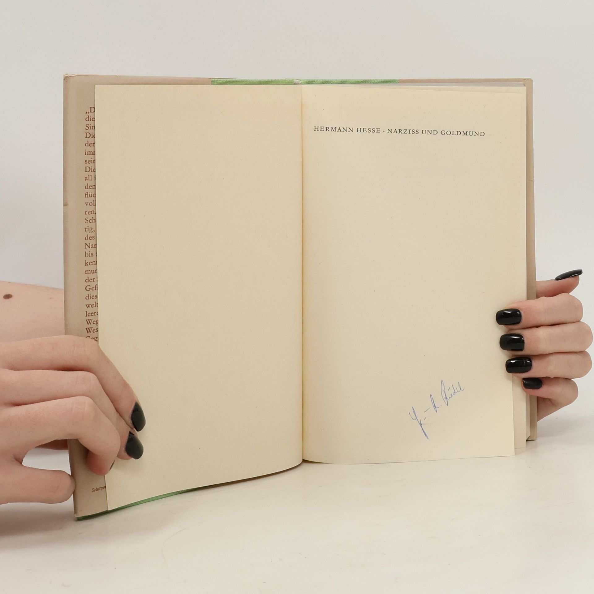 Hermann Hesse Narziss und Goldmund