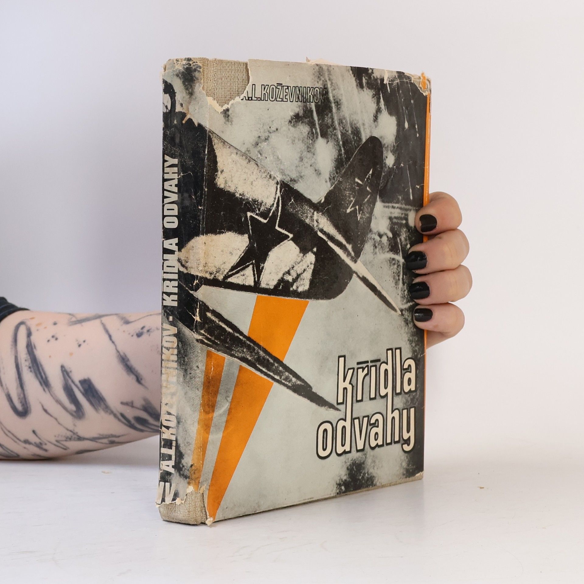 Anatolij Leonidovič Koževnikov Křídla odvahy