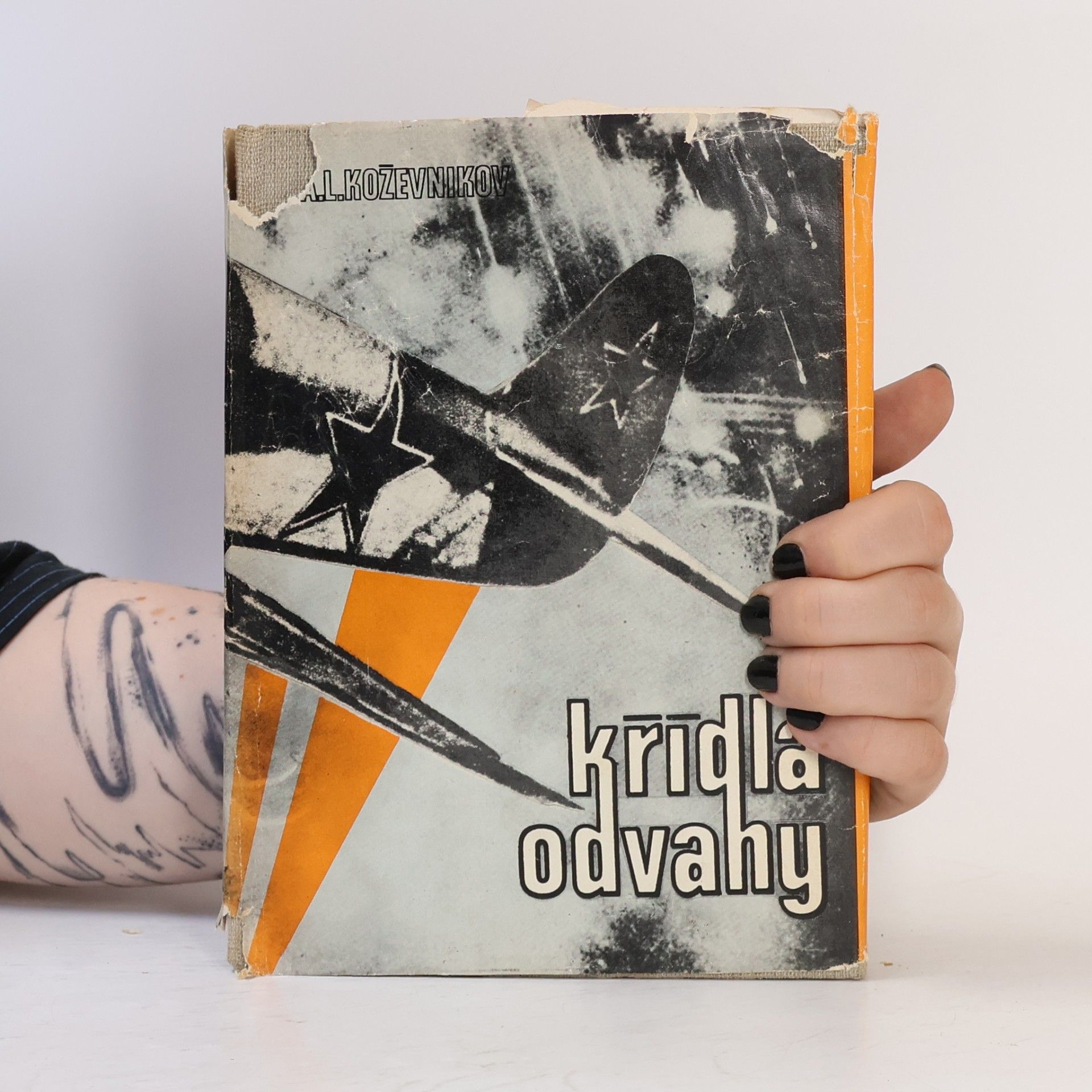 Anatolij Leonidovič Koževnikov Křídla odvahy