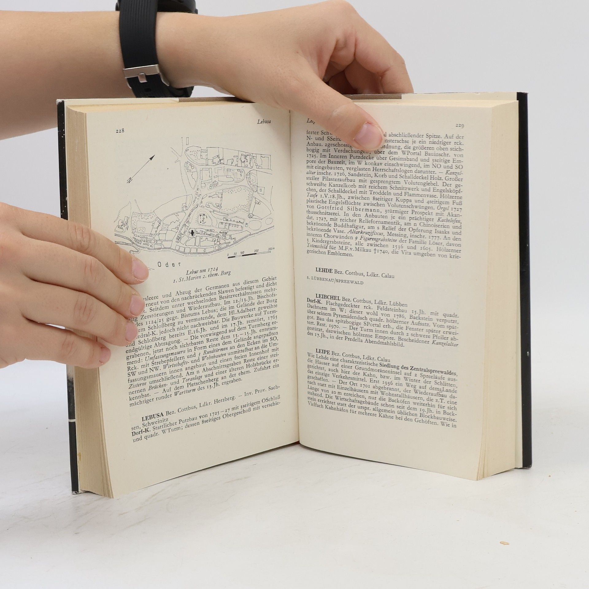 Georg Dehio Dehio Handbuch der deutschen Kunstdenkmäler: Die Bezirke Cottbus und Frankfurt/Oder