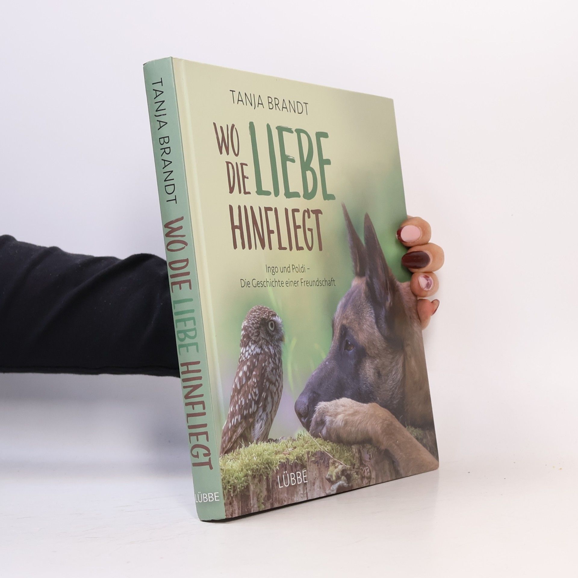 Tanja Brandt Wo die Liebe hinfliegt