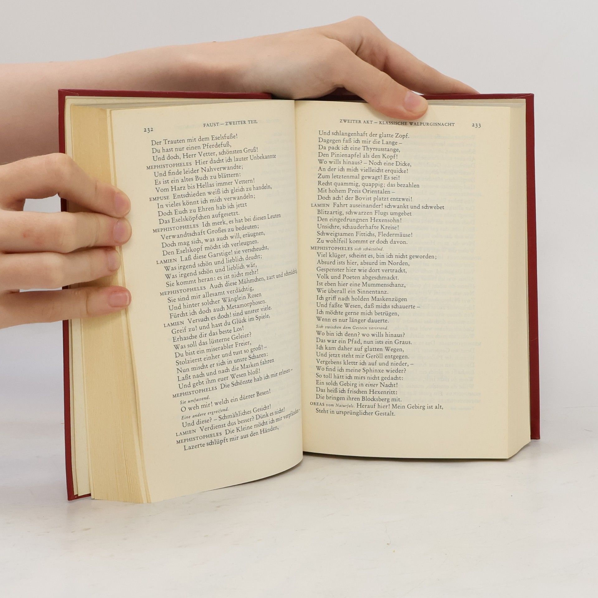 Johann Wolfgang von Goethe Goethe Werke 3