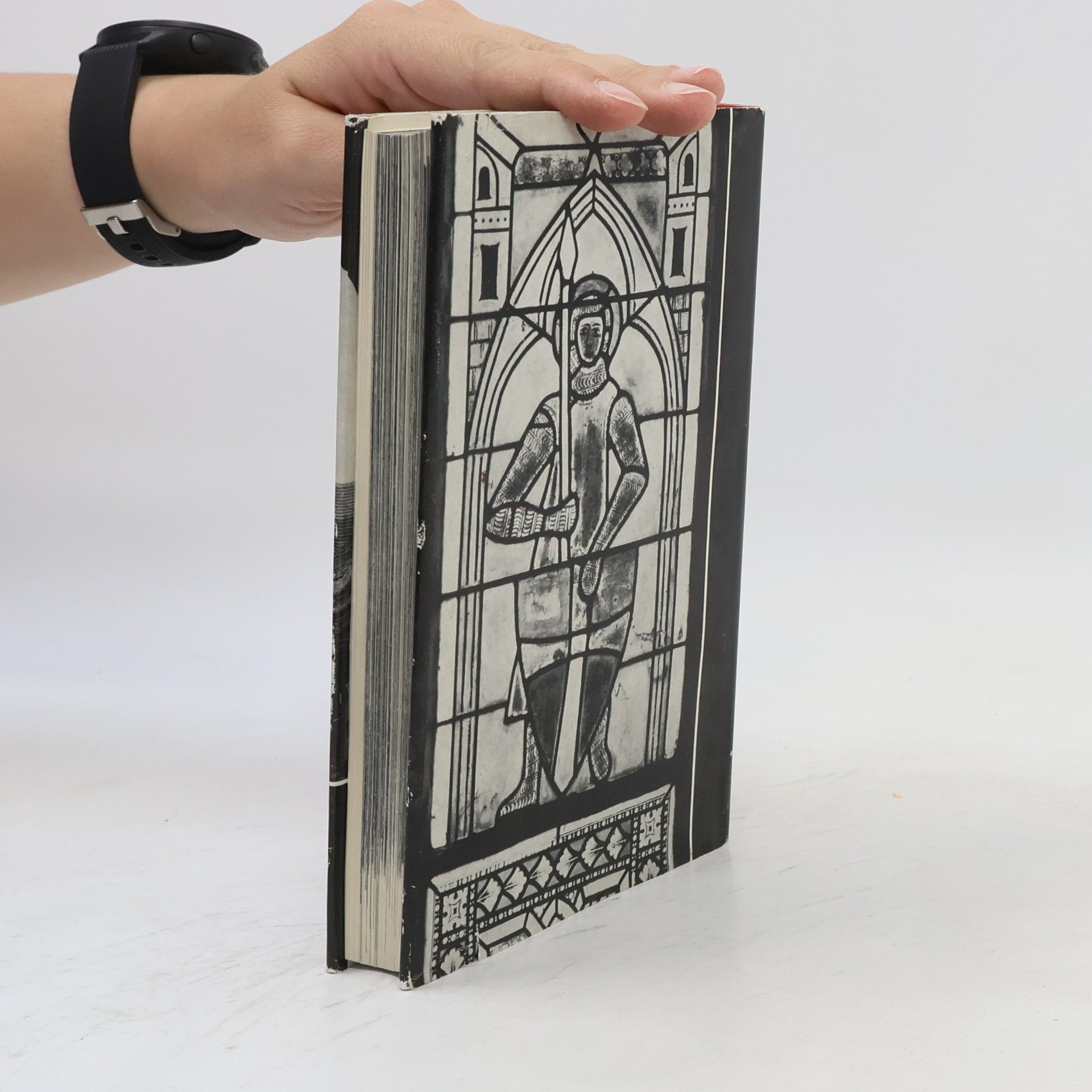Kolektiv autorů Kunstdenkmäler der Bezirke Neubrandenburg, Rostock, Schwerin