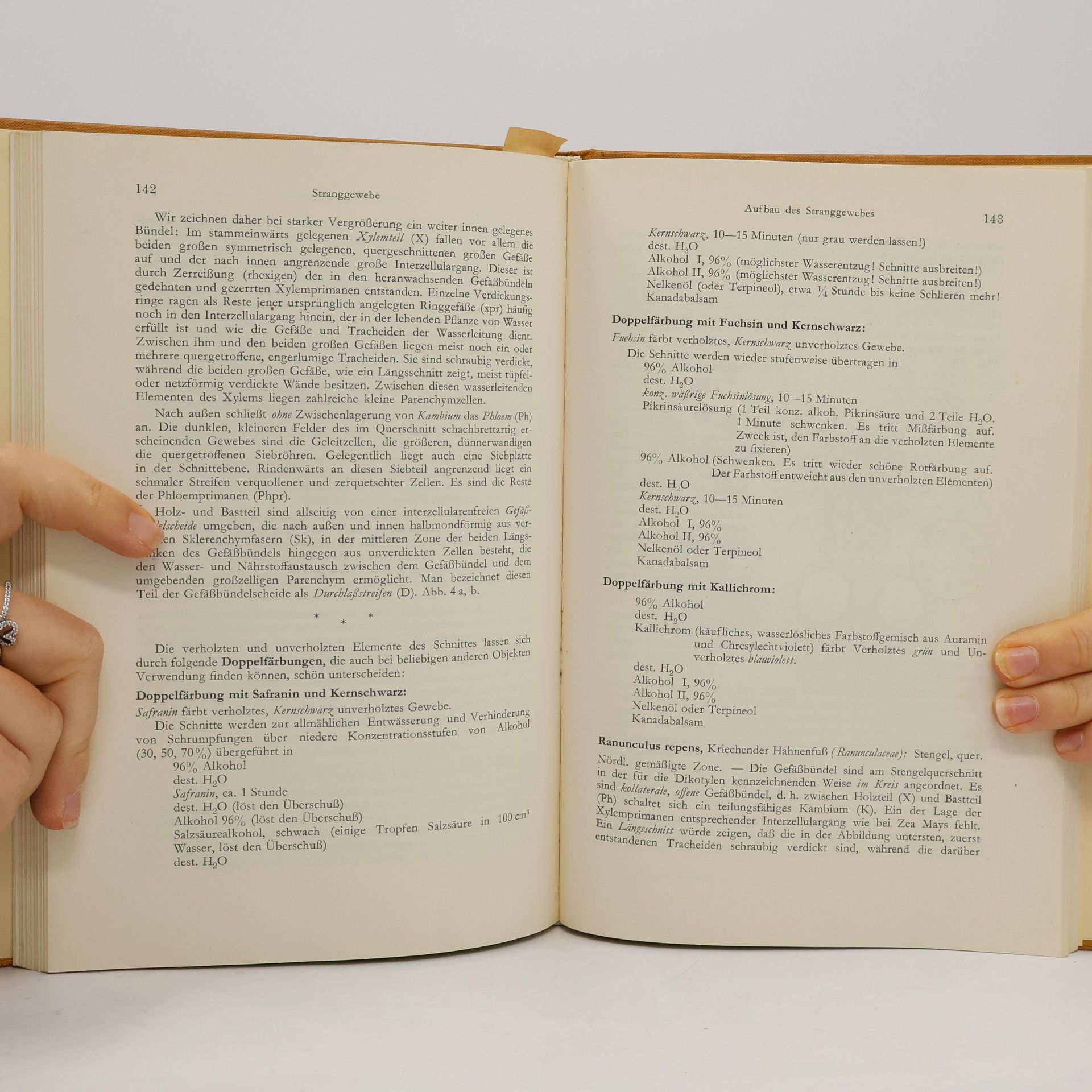 Richard Biebl Praktikum der Pflanzenanatomie