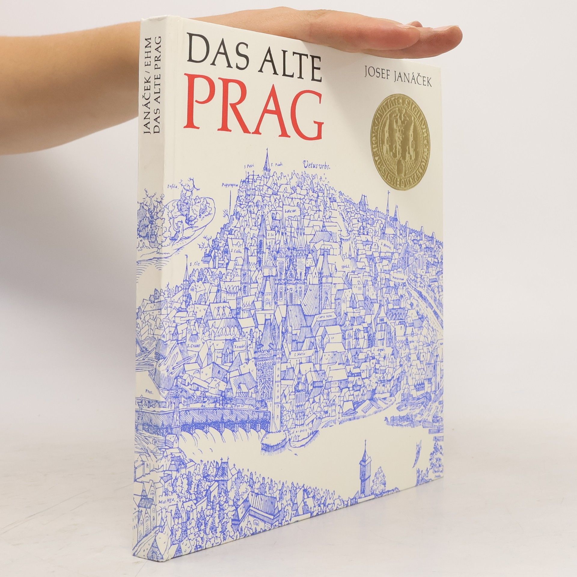 Josef Janáček Das alte Prag
