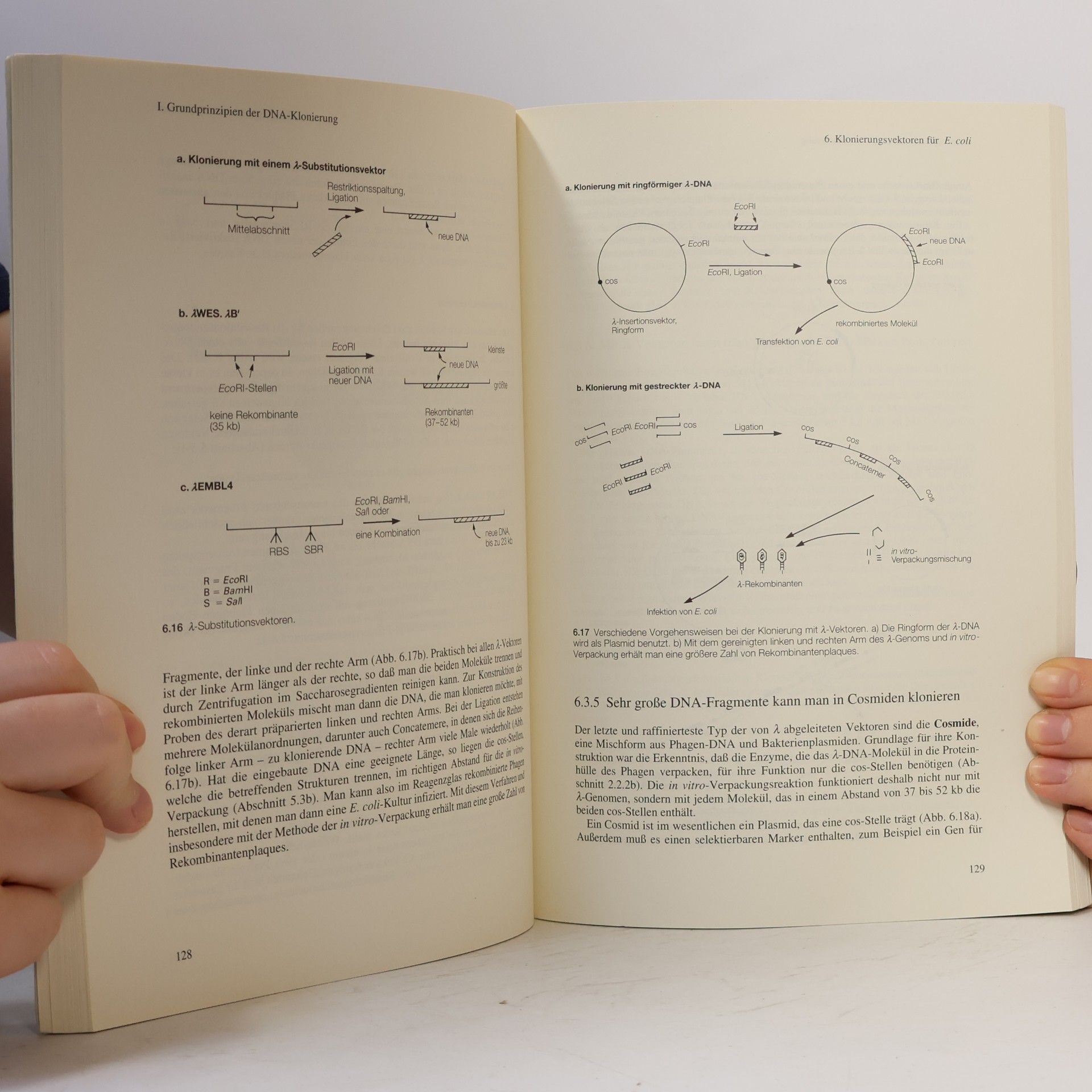 Terence A. Brown Gentechnologie für Einsteiger
