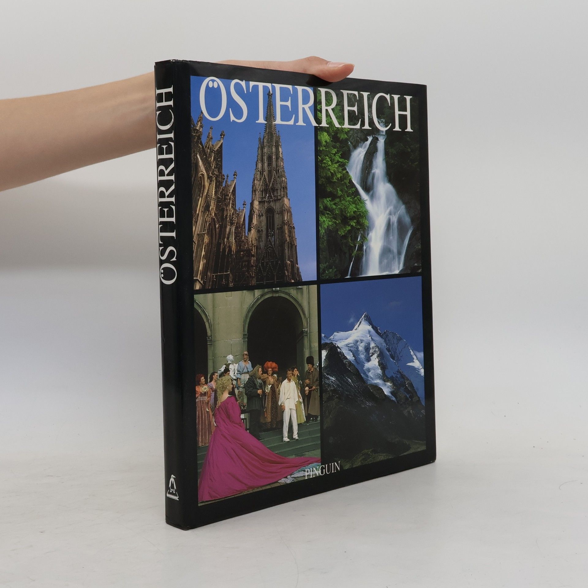 Pia Maria Plechl Österreich : Landschaft, Kunst und Kultur