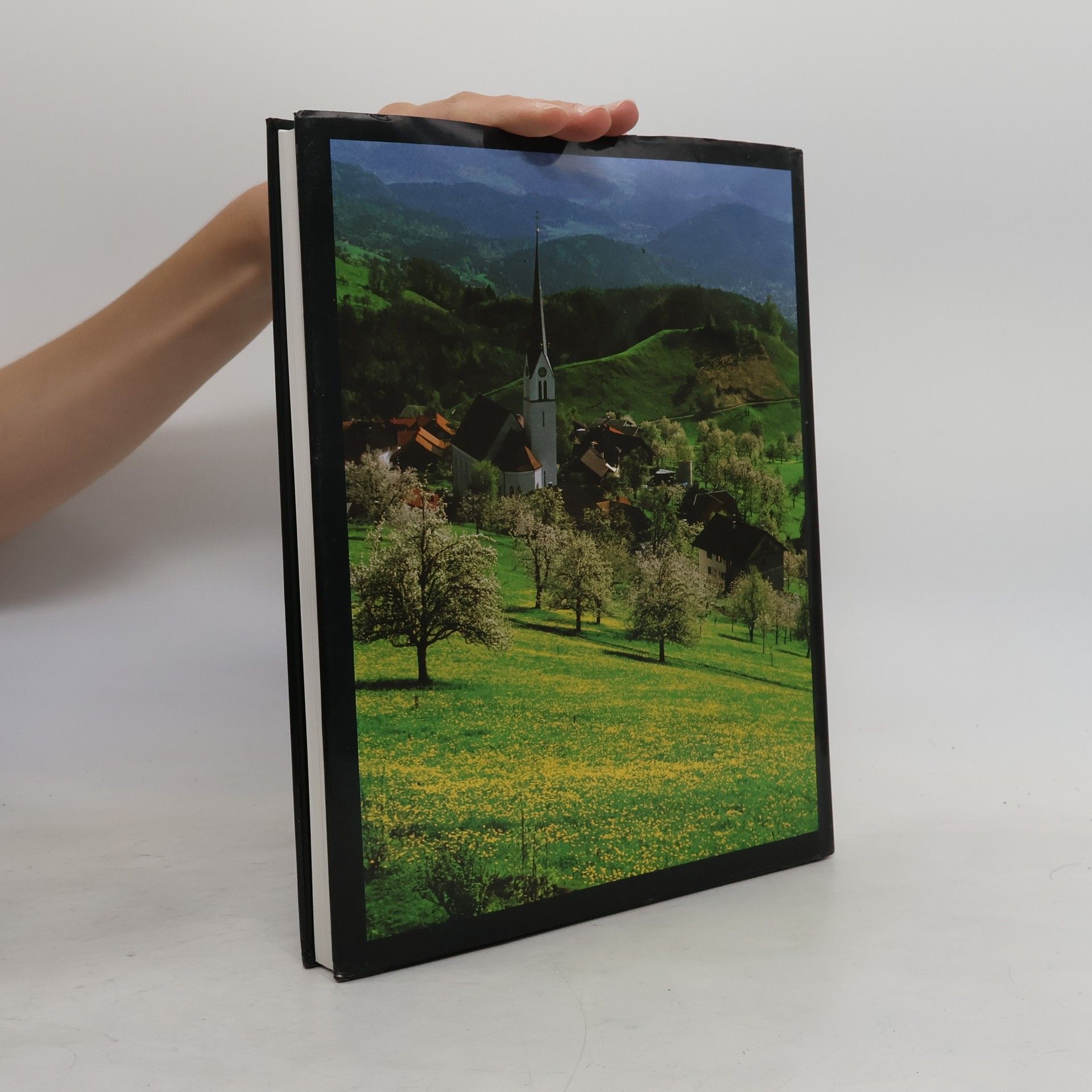 Pia Maria Plechl Österreich : Landschaft, Kunst und Kultur