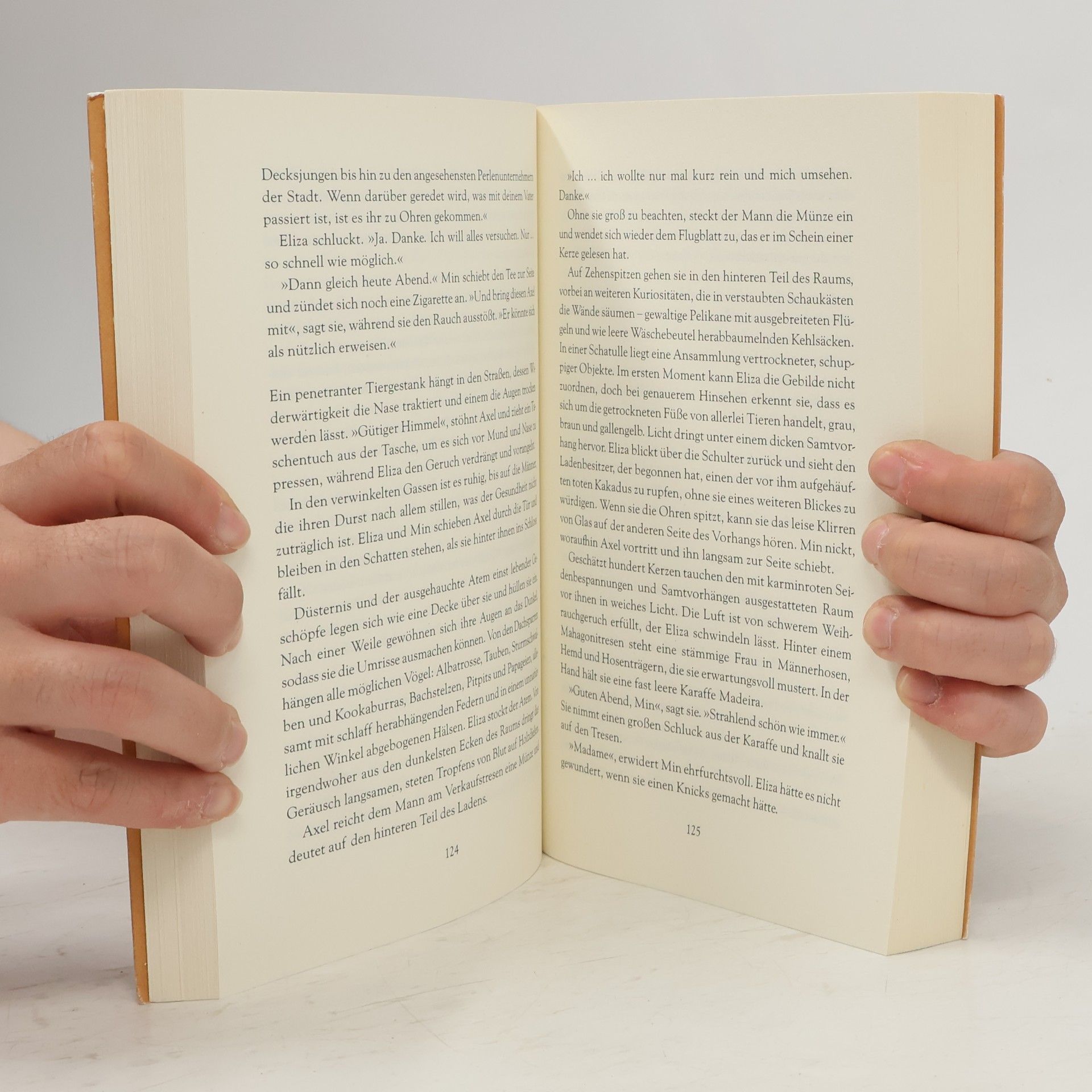 Lizzie Pook Moonlight und die Tochter des Perlenfischers