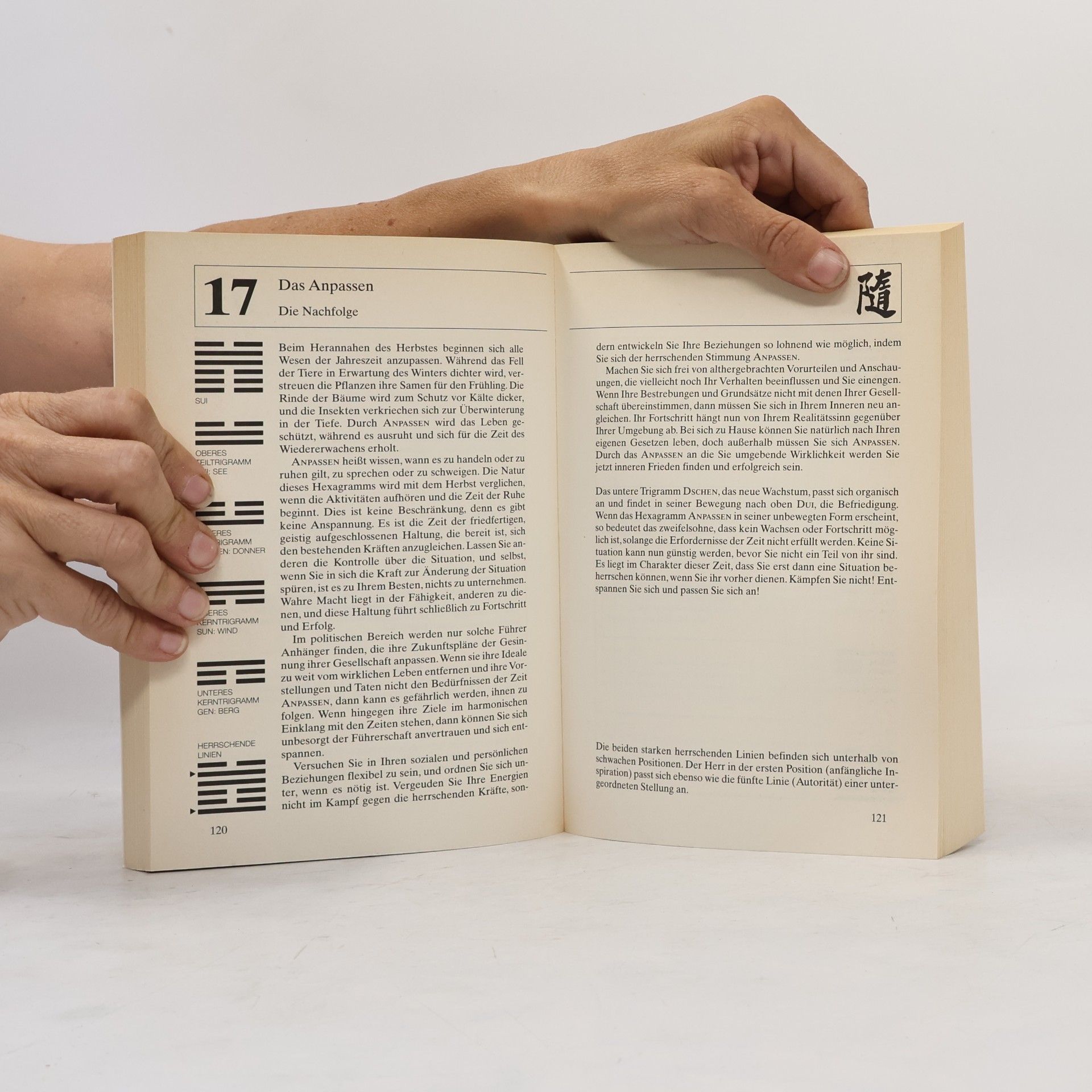 R. L. Wing Das Arbeitsbuch zum I-ging