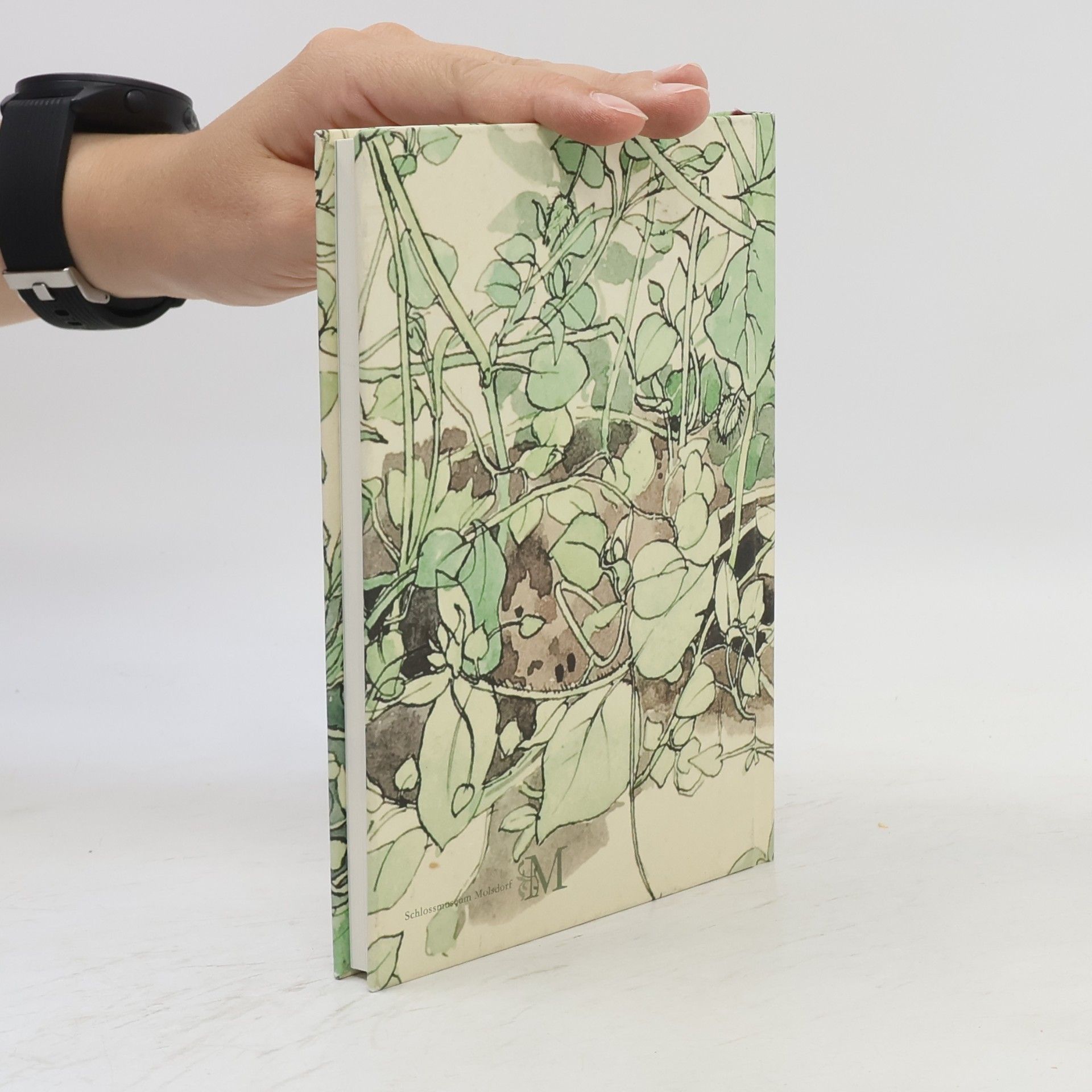 Otto Knöpfer Kunst- & Pflanzenbuch