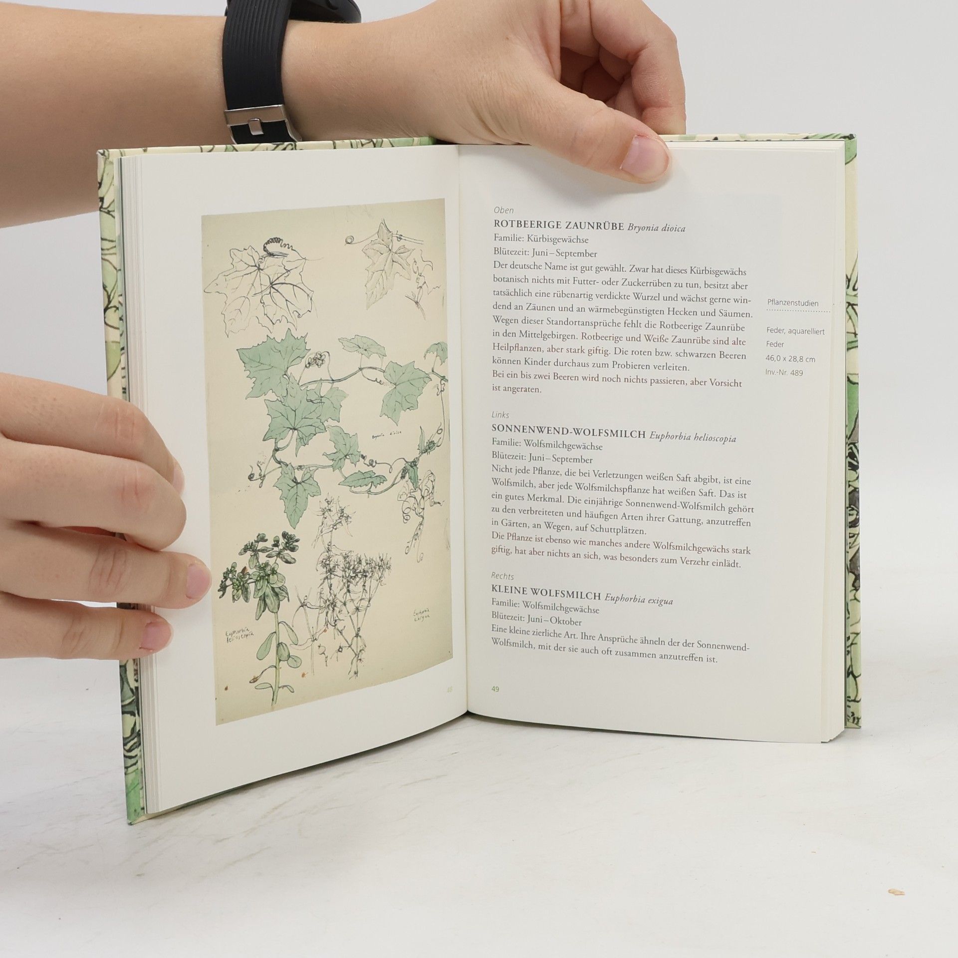 Otto Knöpfer Kunst- & Pflanzenbuch