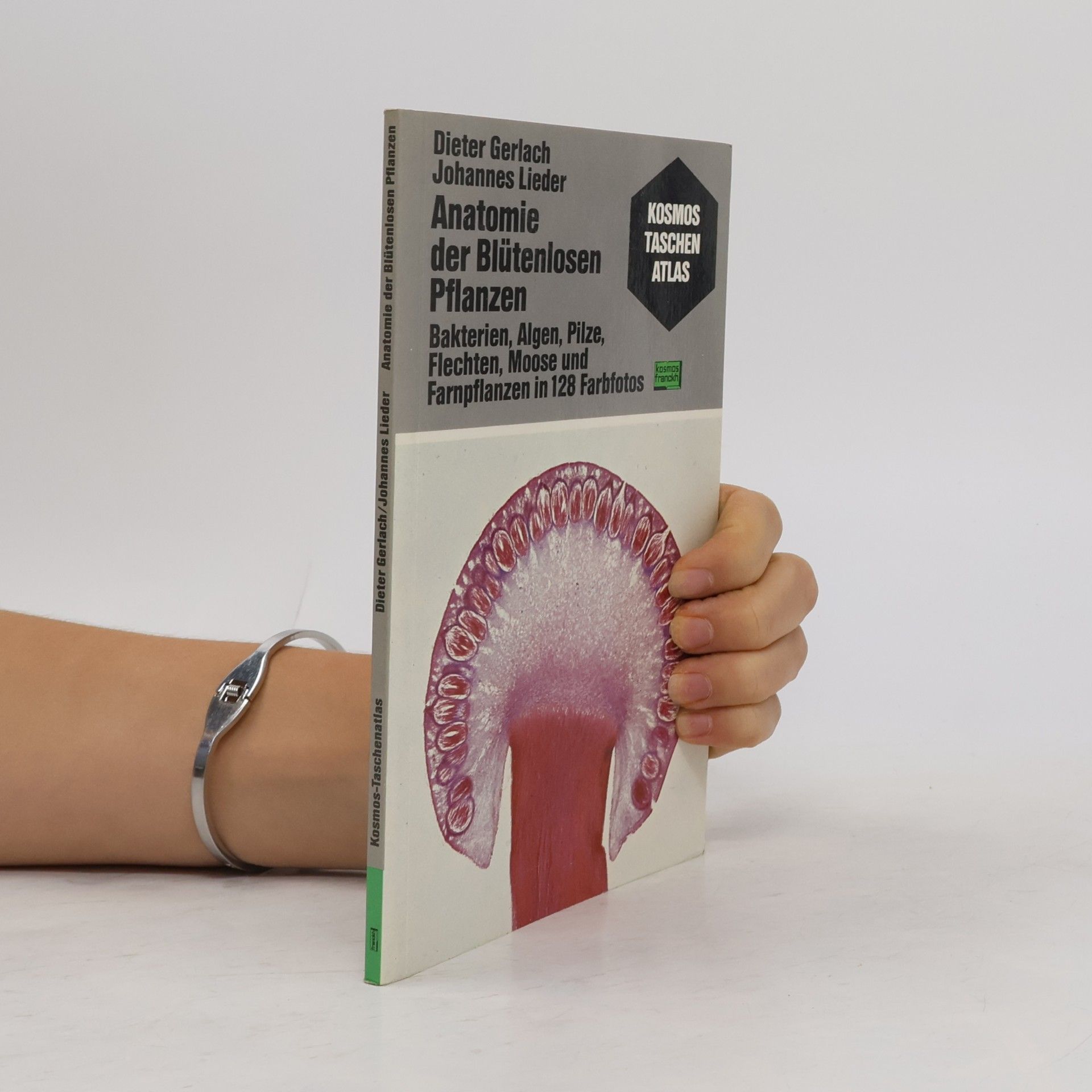 Dieter Gerlach Anatomie der Blütenlosen Pflanzen