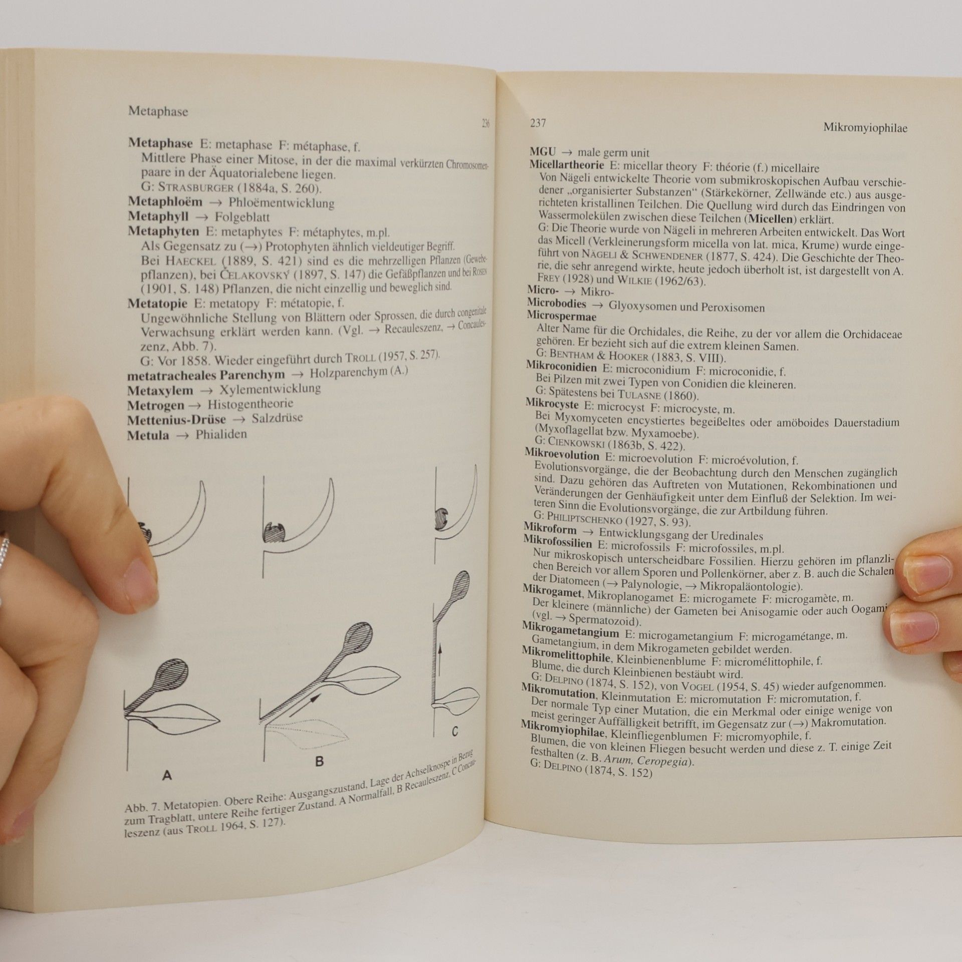 Gerhard Wagenitz Wörterbuch der Botanik