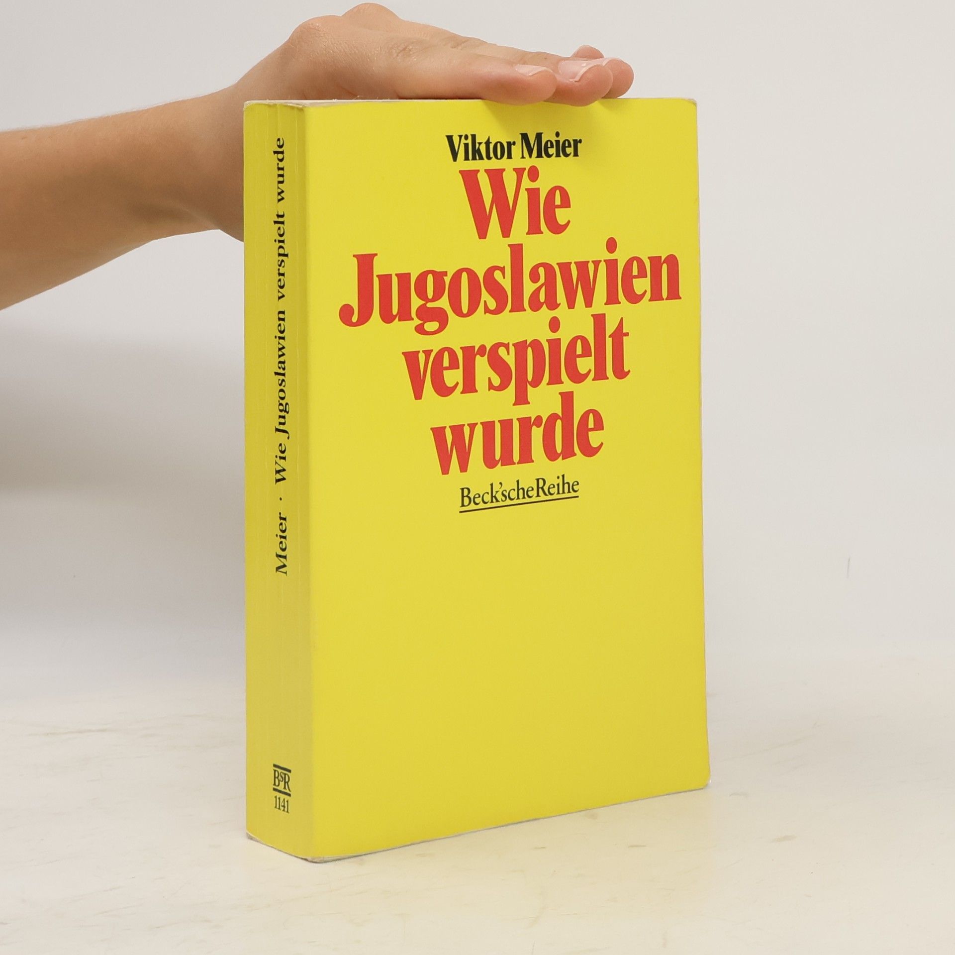 Wie Jugoslawien verspielt wurde