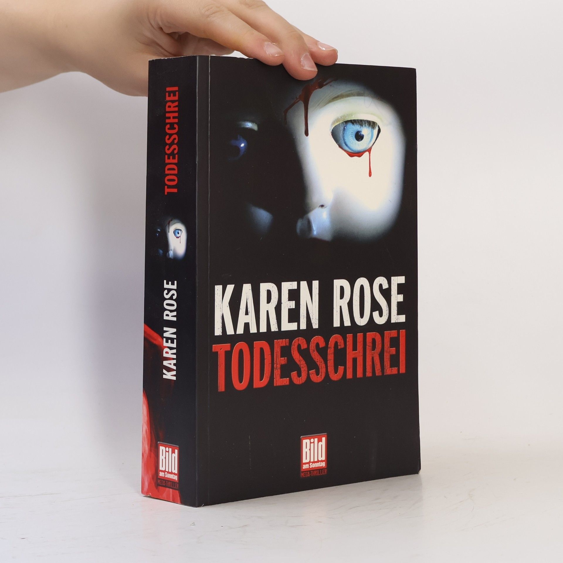 Karen Rose Todesschrei