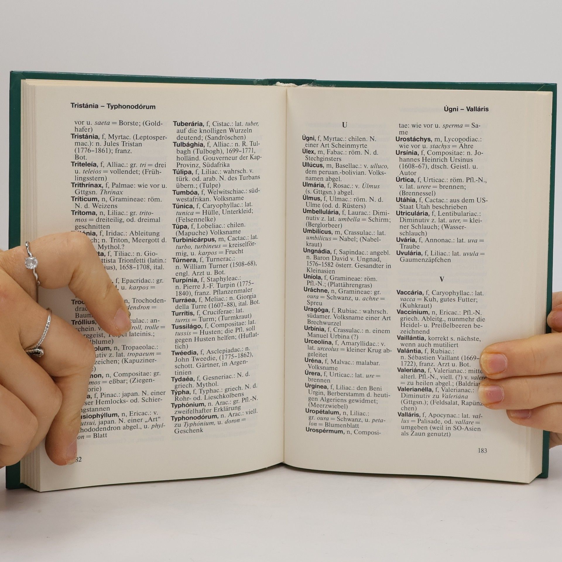 Franz Boerner Taschenwörterbuch der botanischen Pflanzennamen
