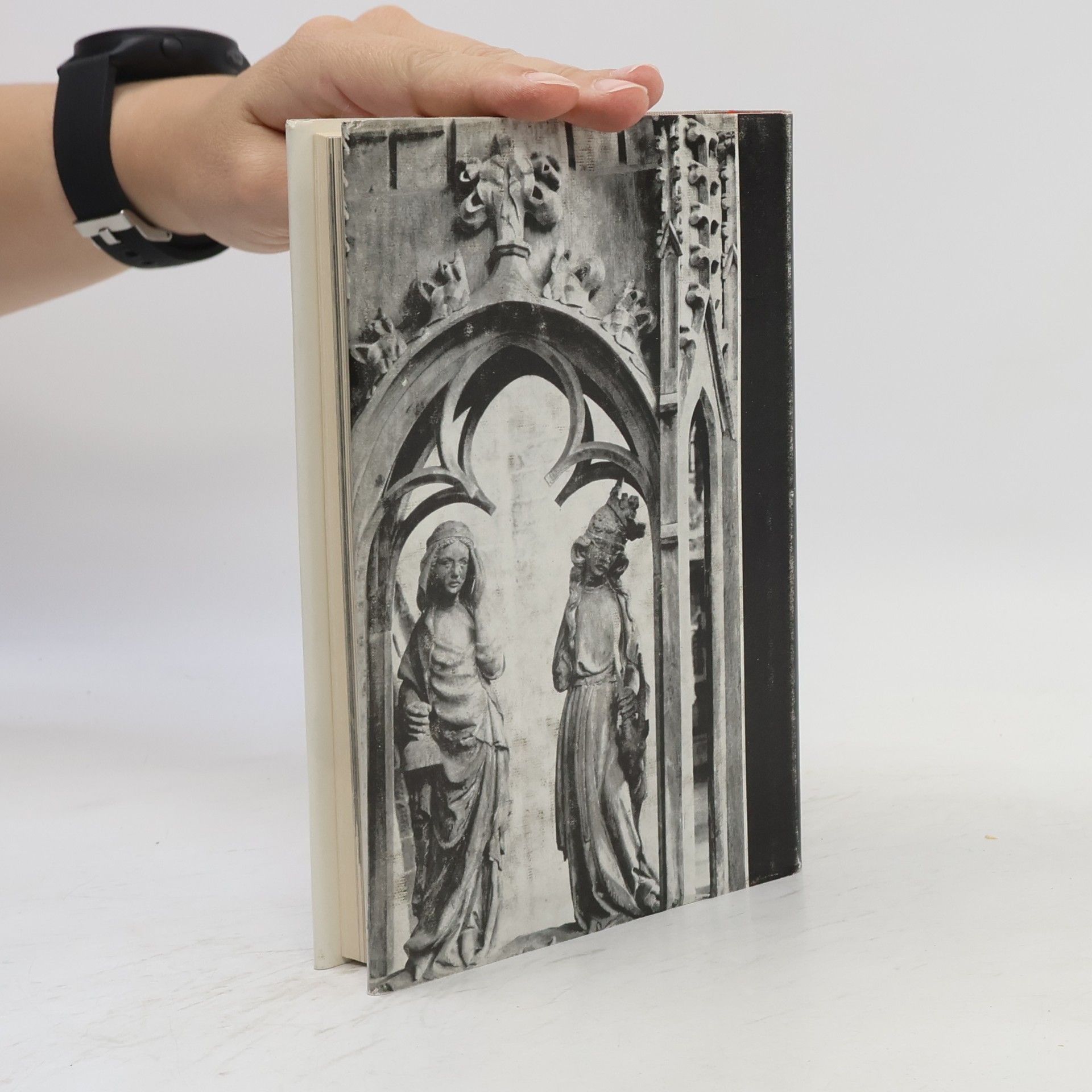 Various authors Kunstdenkmäler der Bezirke Magdenburg