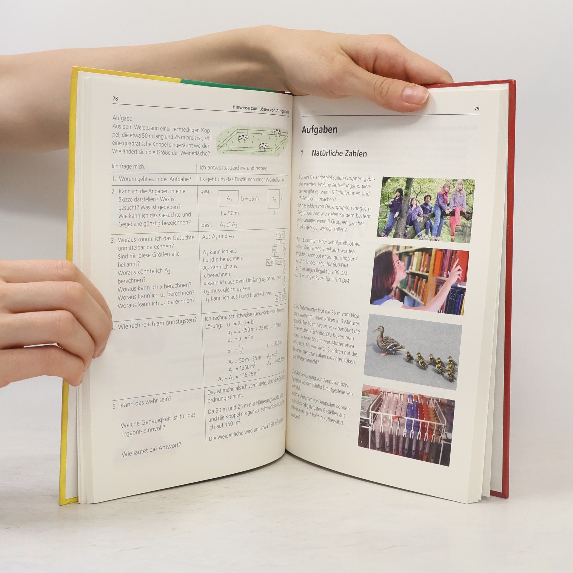 Mathematik, Ausgabe Mecklenburg-Vorpommern, Euro, Lehrbuch, Klasse 6