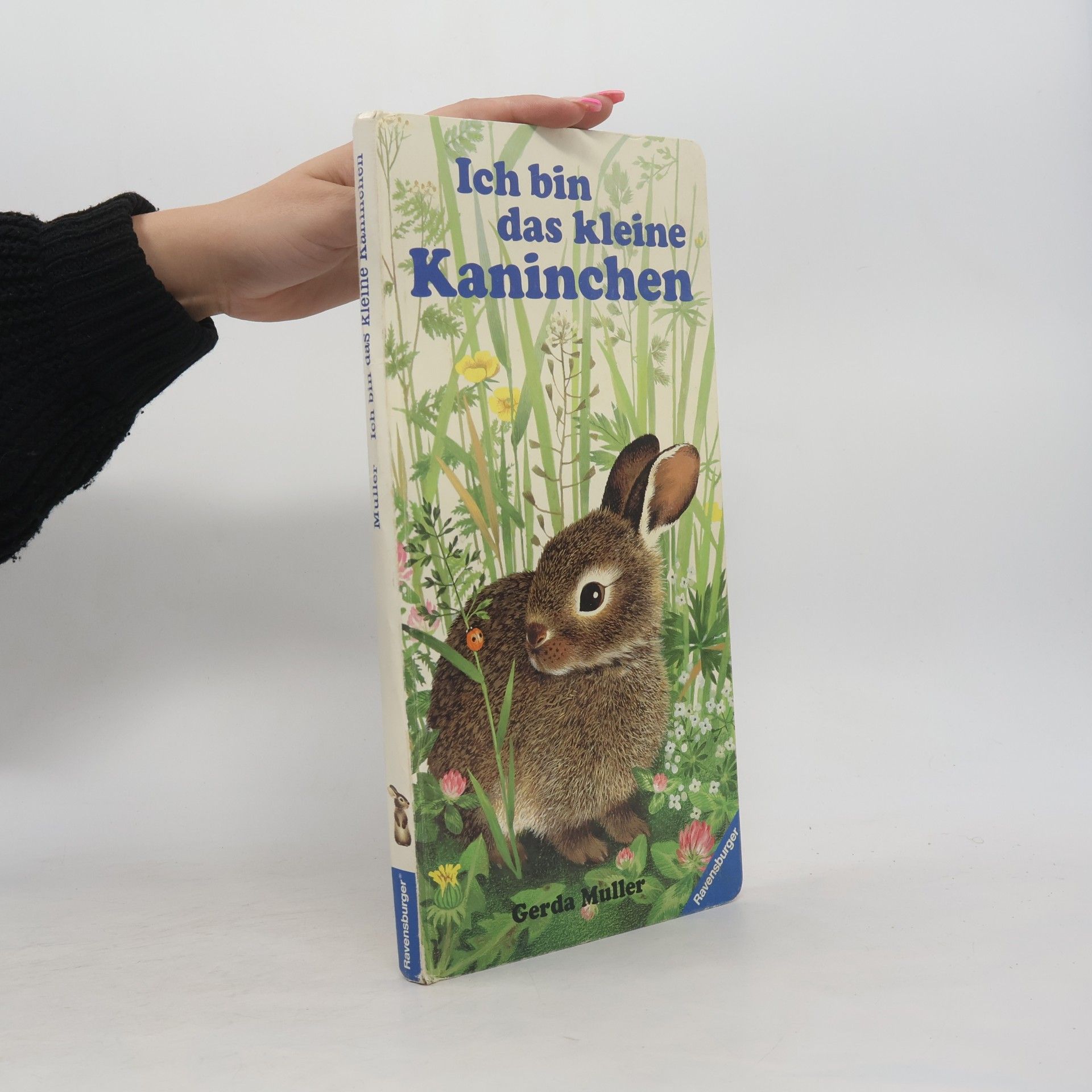 Gerda Muller Ich bin das kleine Kaninchen