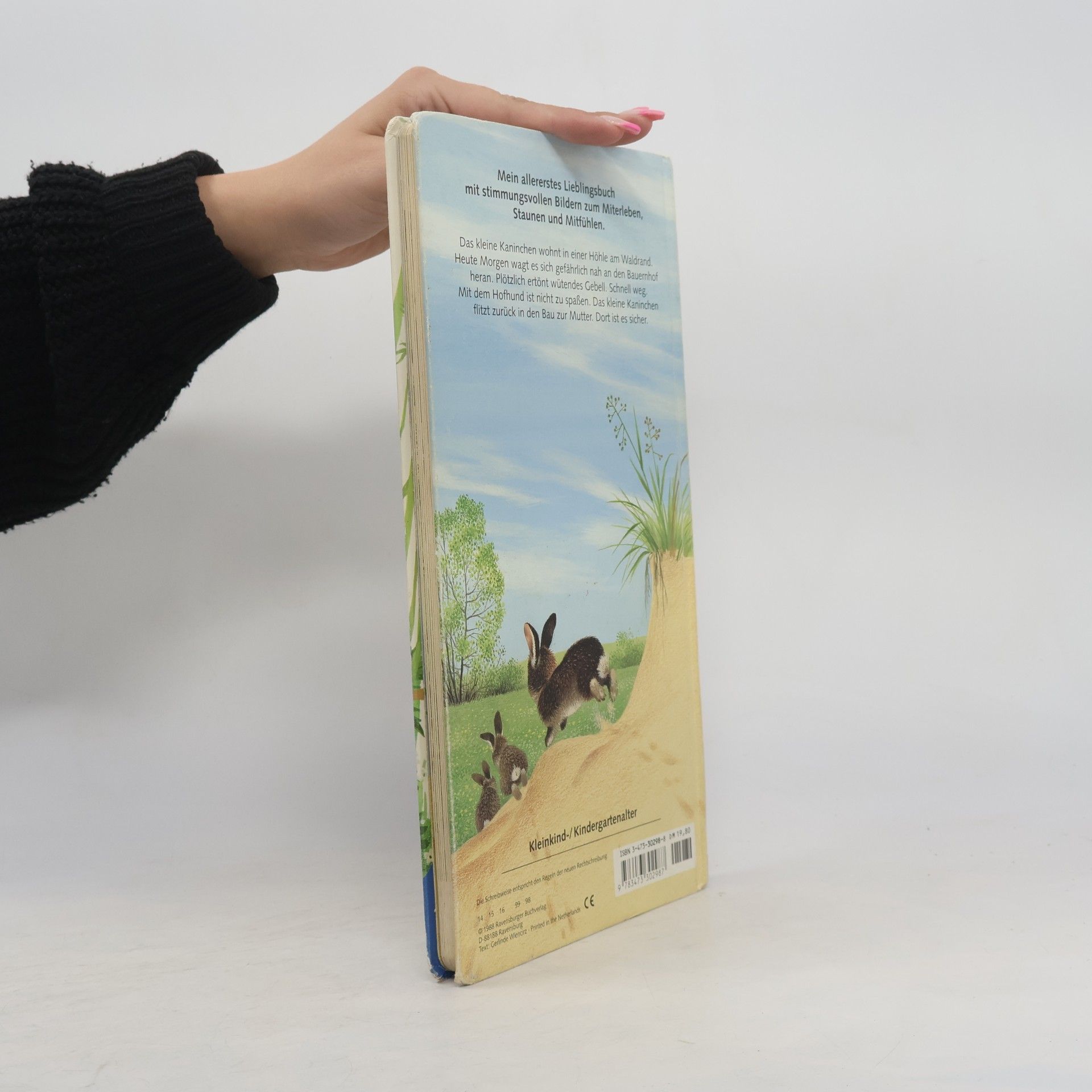 Gerda Muller Ich bin das kleine Kaninchen