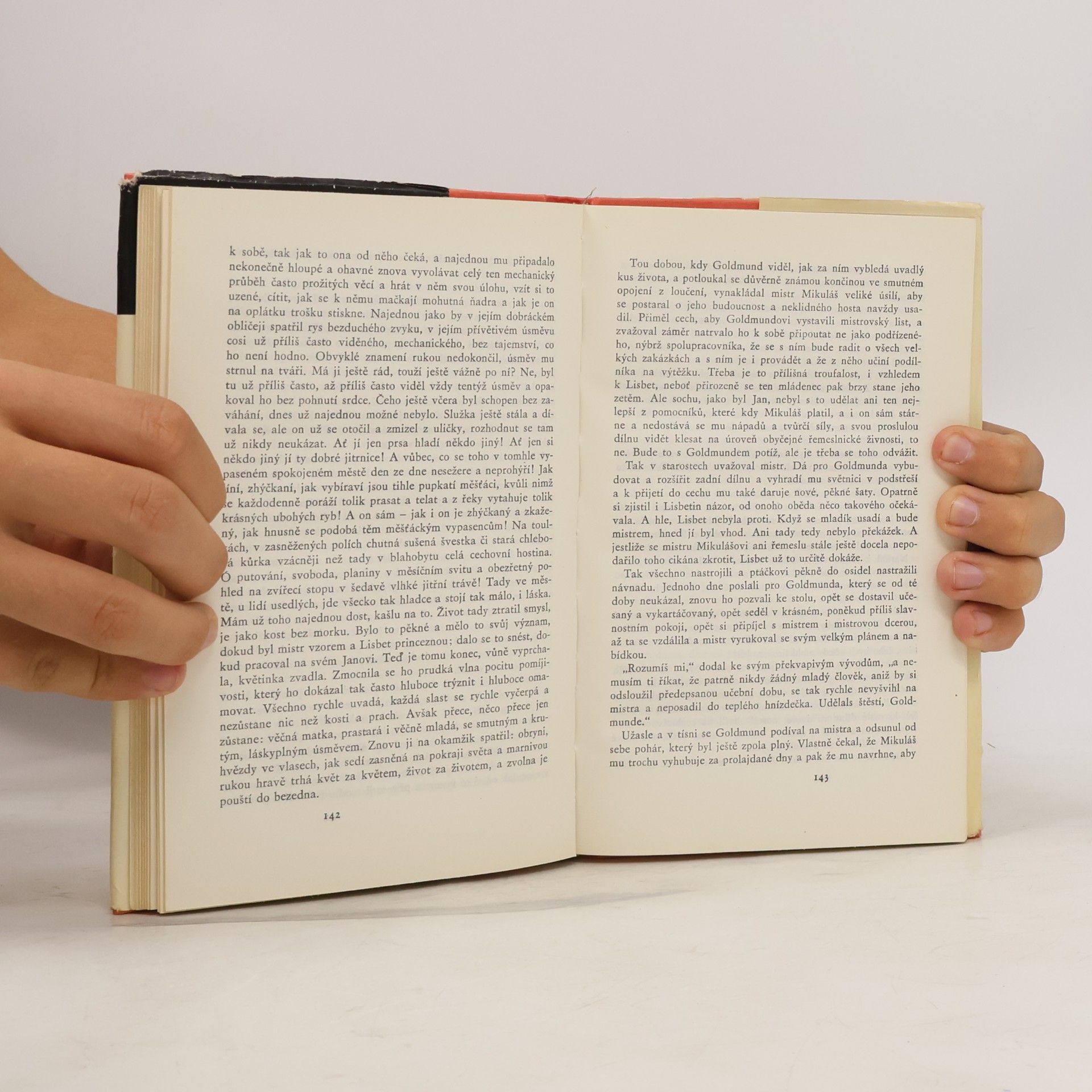 Hermann Hesse Narcis a Goldmund
