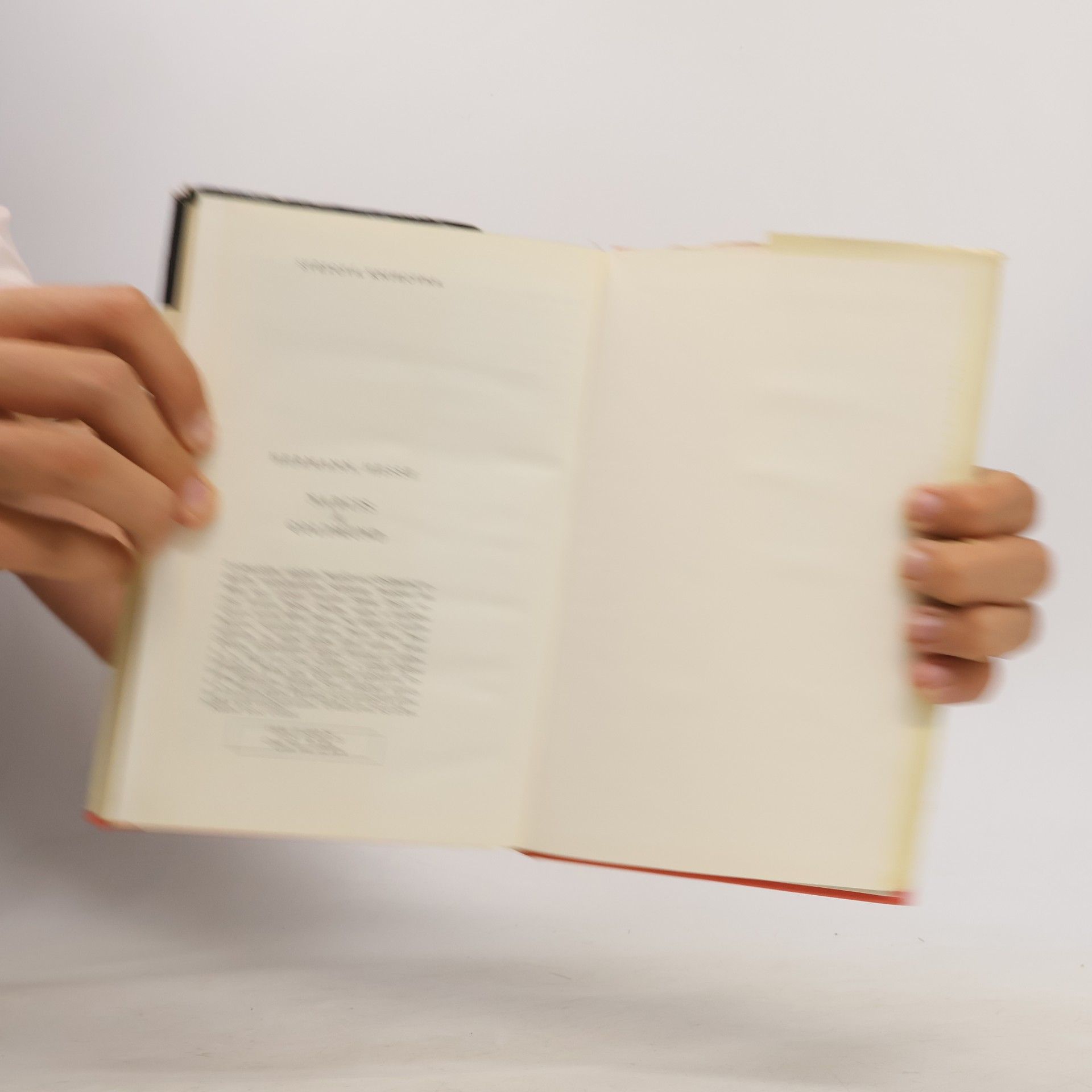 Hermann Hesse Narcis a Goldmund