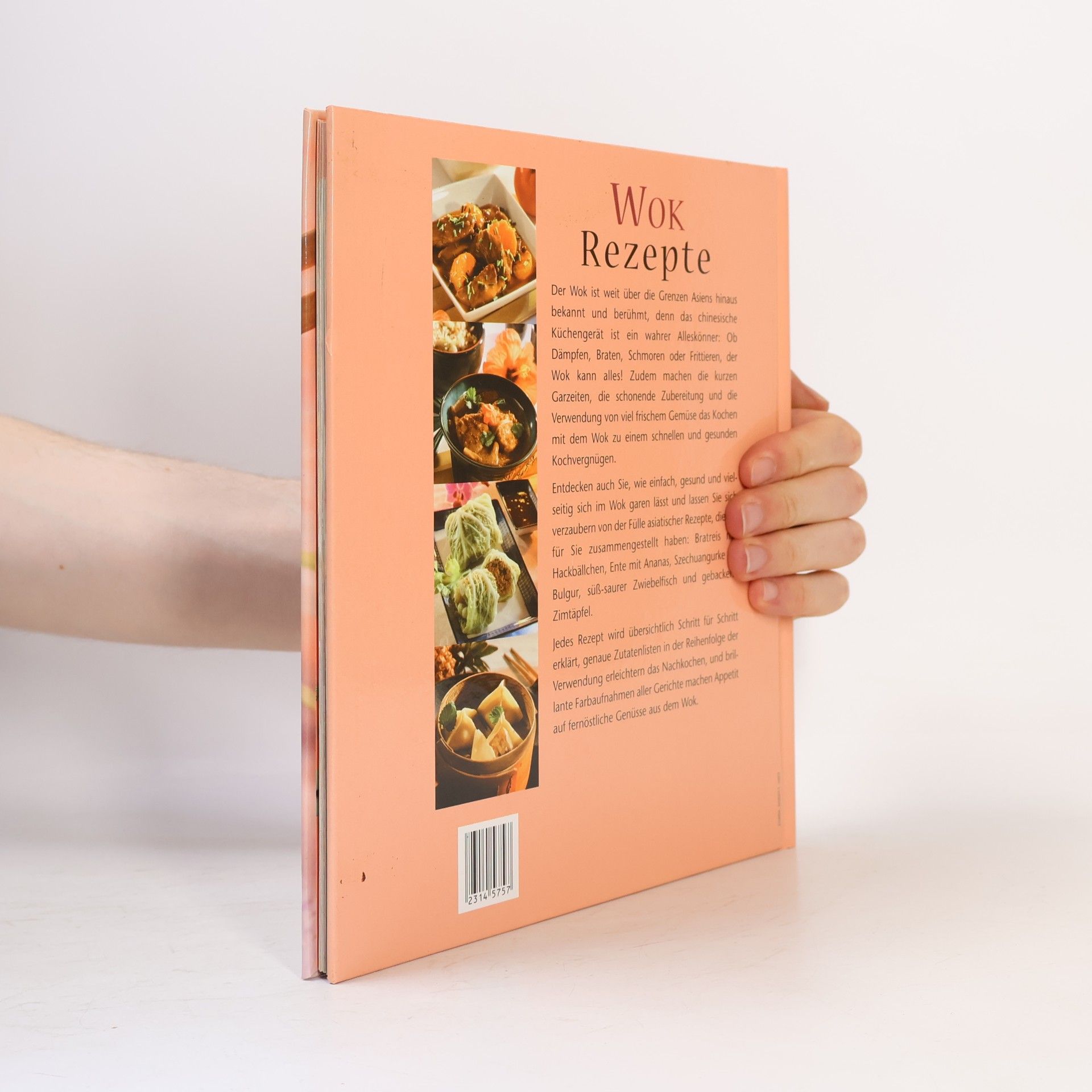 Kolektiv autorů Wok-Rezepte