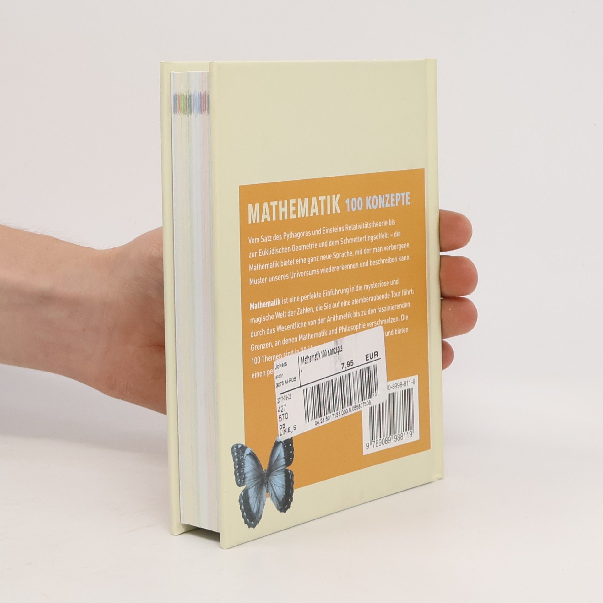 Marianne Freiberger Mathematik - 100 Konzepte