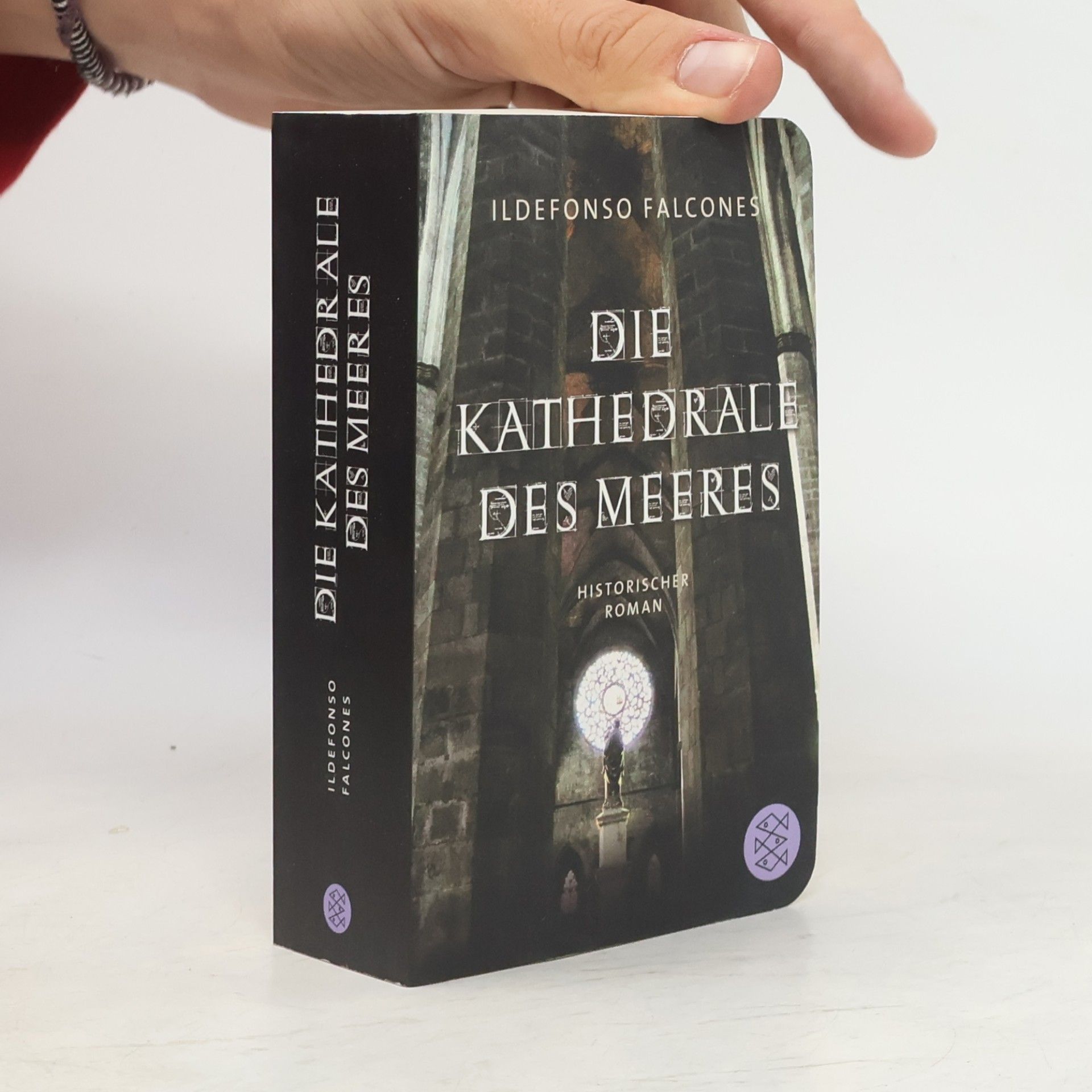Ildefonso Falcones Die Kathedrale des Meeres