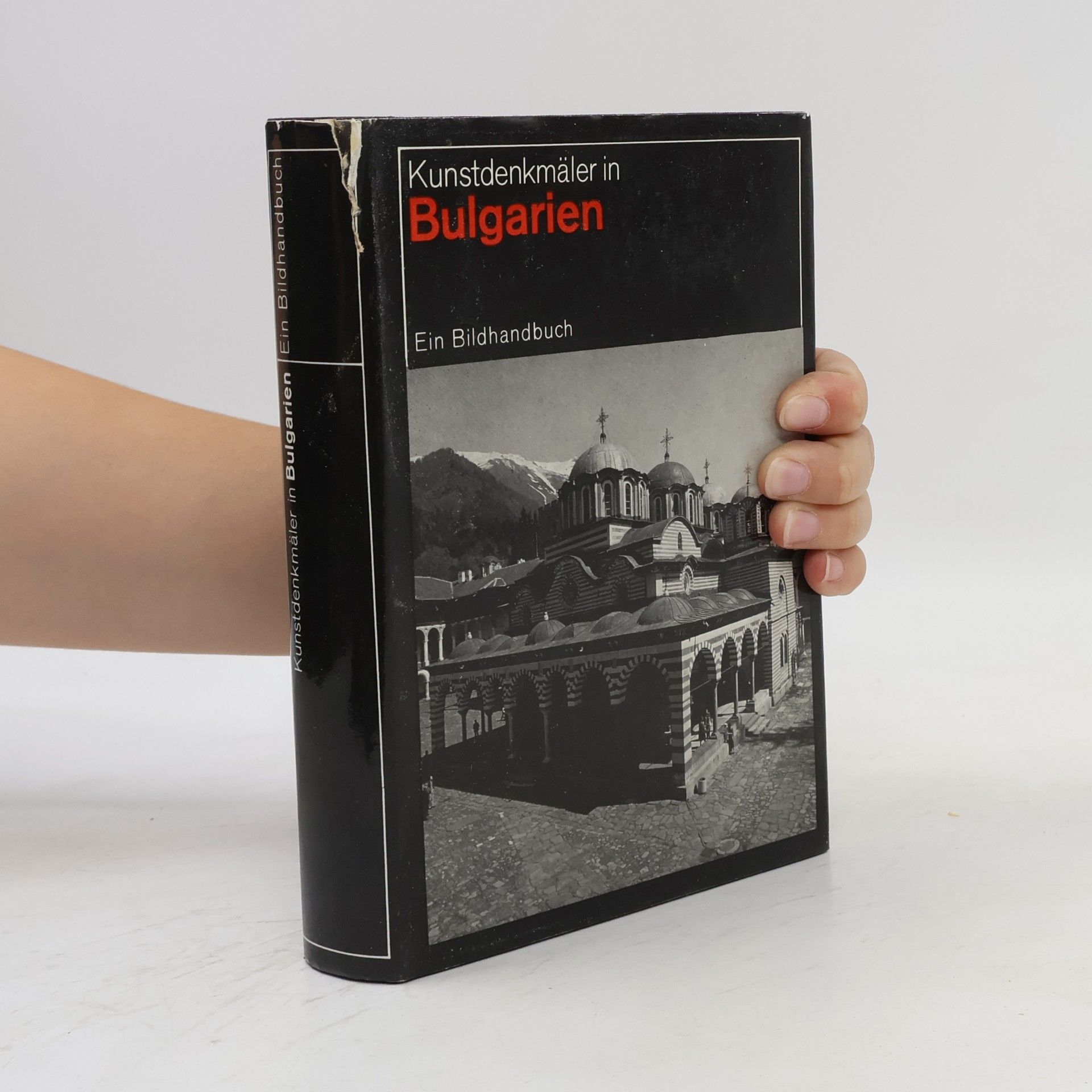 Jerzy Zygmunt Łoziński Kunstdenkmäler in Polen. Ein Bildhandbuch