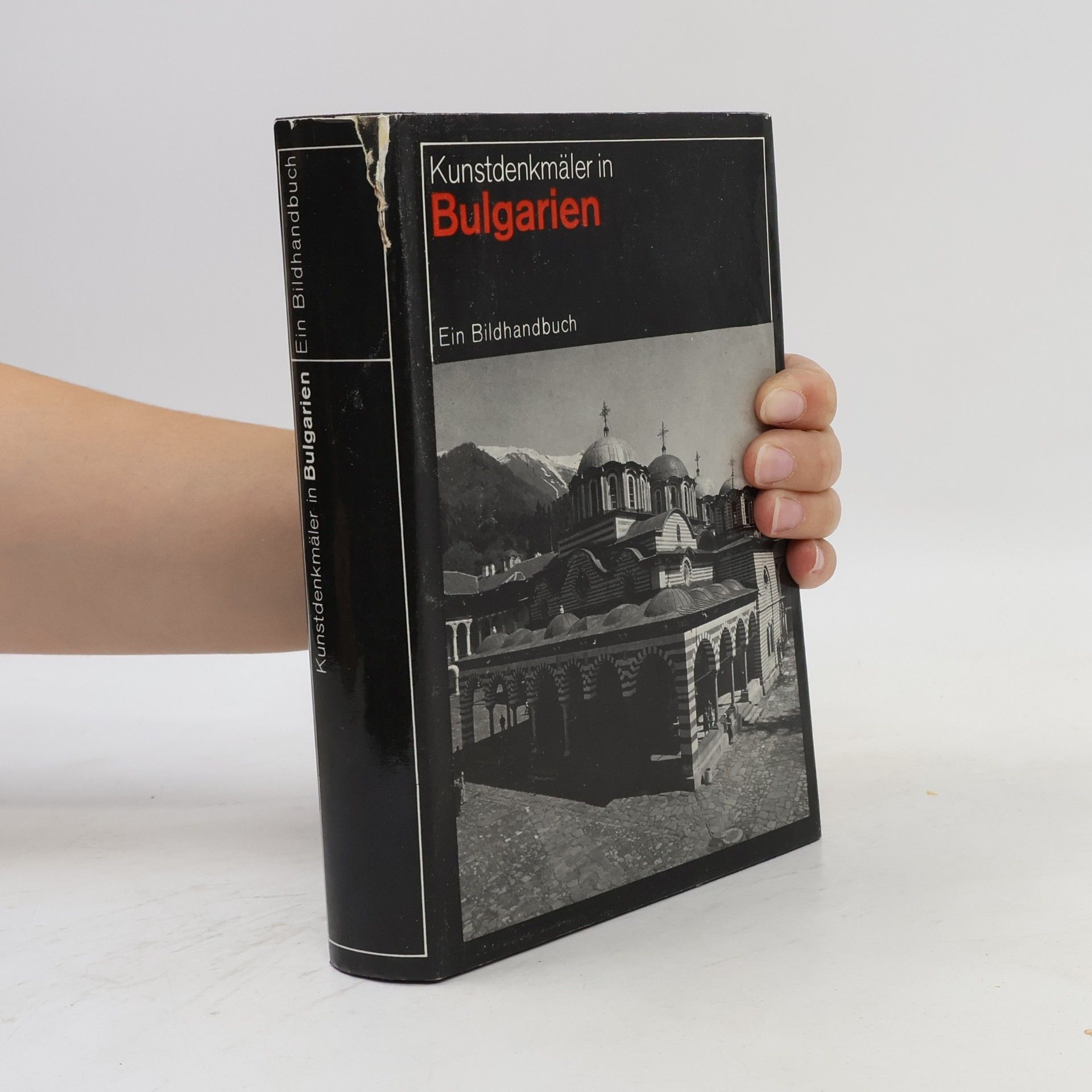 Jerzy Zygmunt Łoziński Kunstdenkmäler in Polen. Ein Bildhandbuch