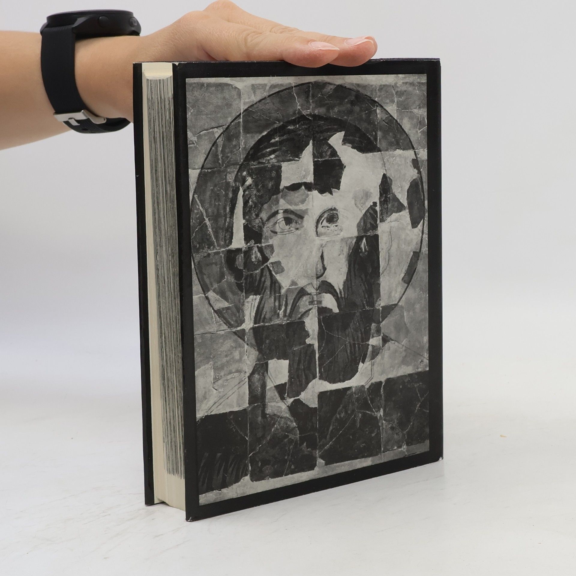 Jerzy Zygmunt Łoziński Kunstdenkmäler in Polen. Ein Bildhandbuch