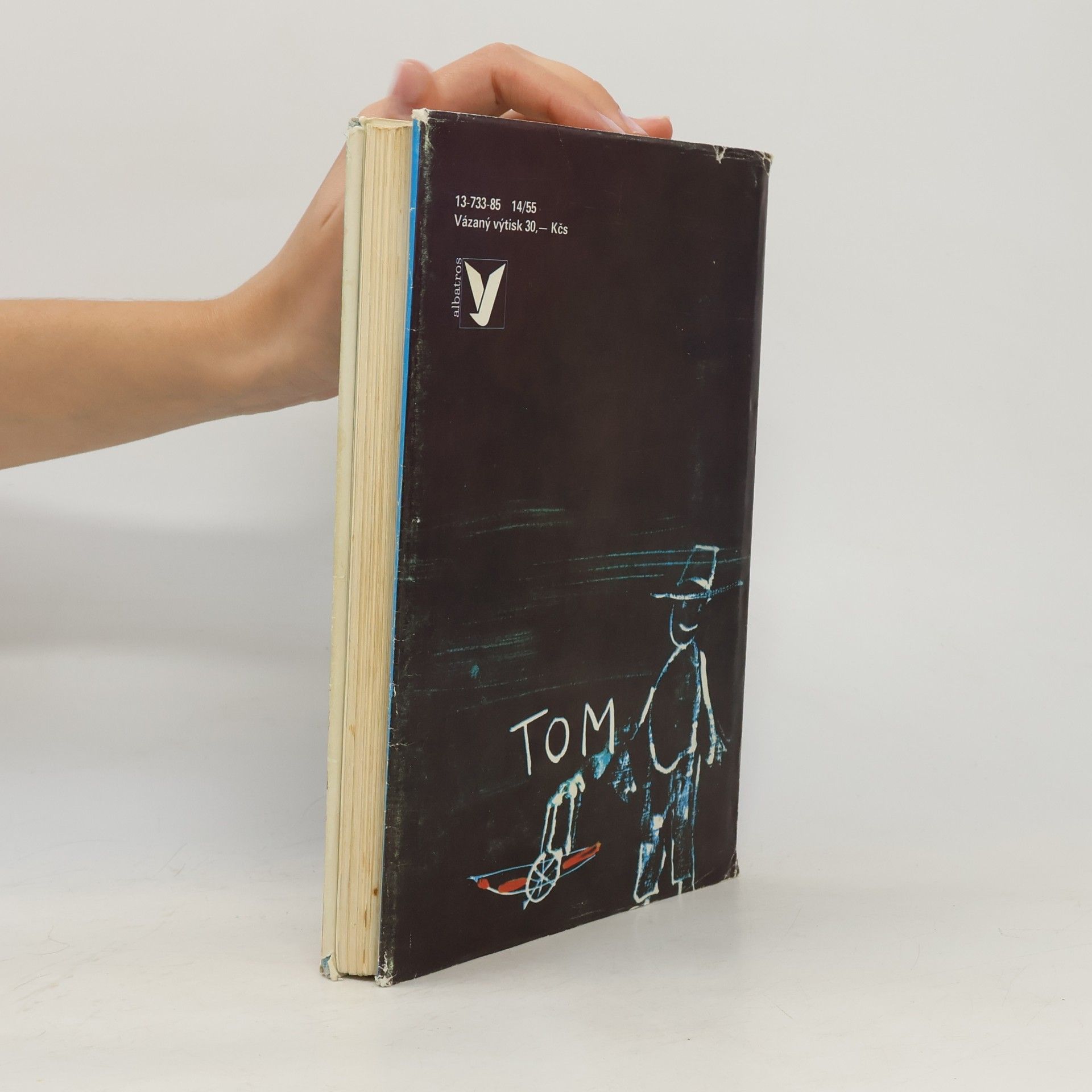 Mark Twain Dobrodružství Toma Sawyera
