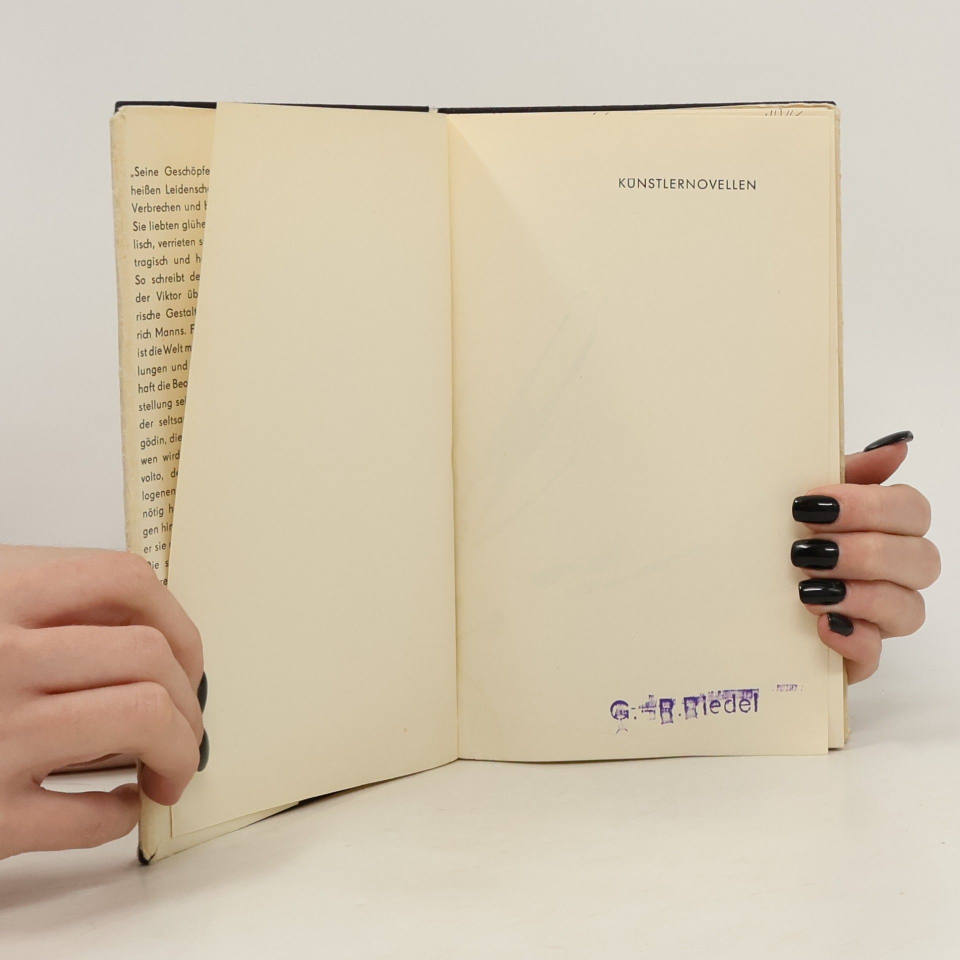 Heinrich Mann Künstlernovellen