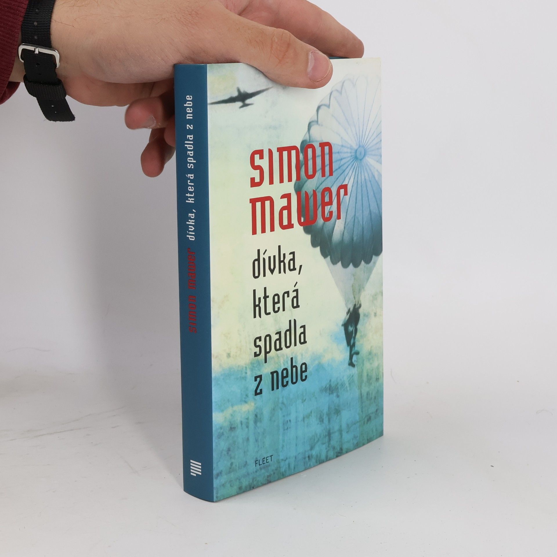 Simon Mawer Dívka, která spadla z nebe