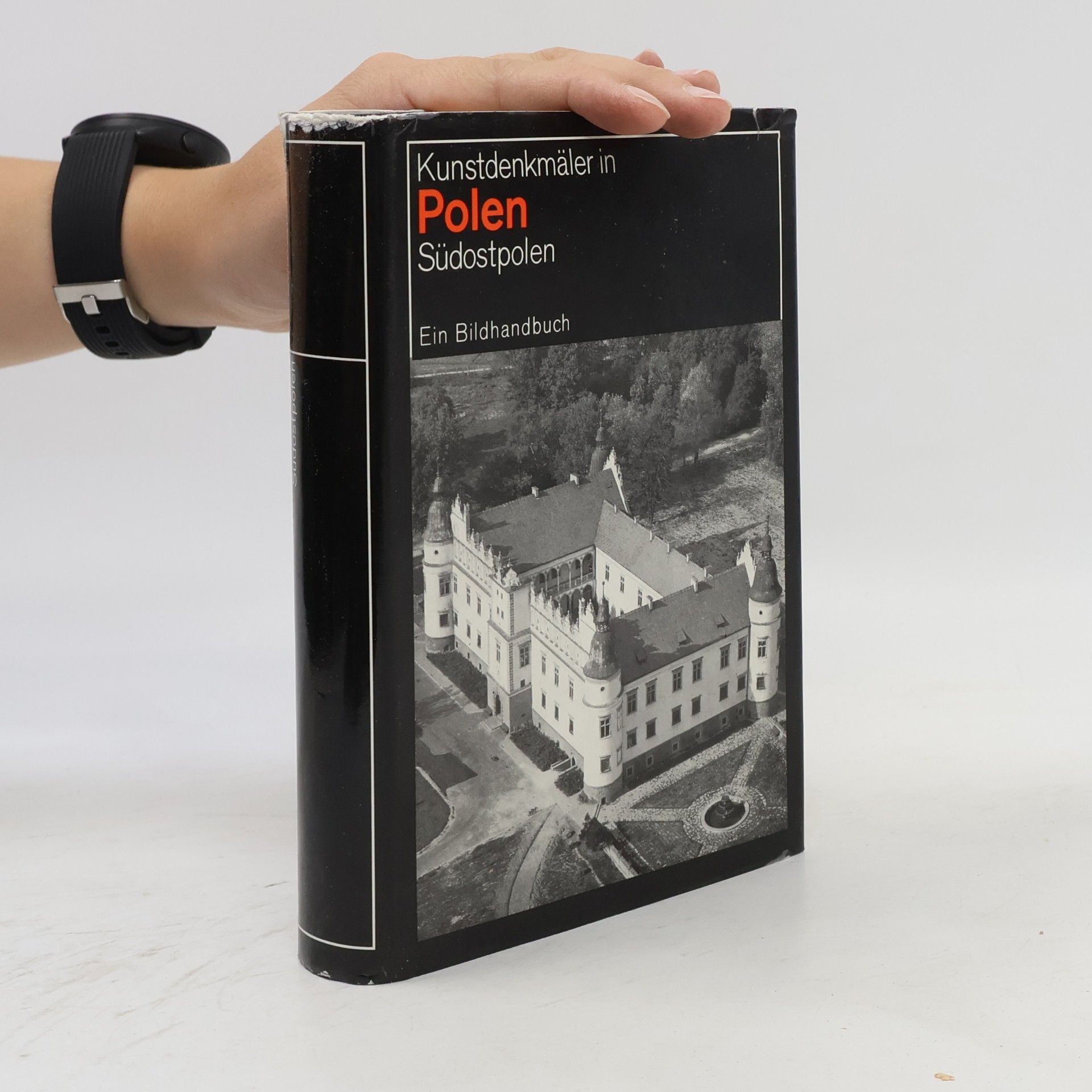 Autorenkollektiv Kunstdenkmäler in Polen. Südostpolen