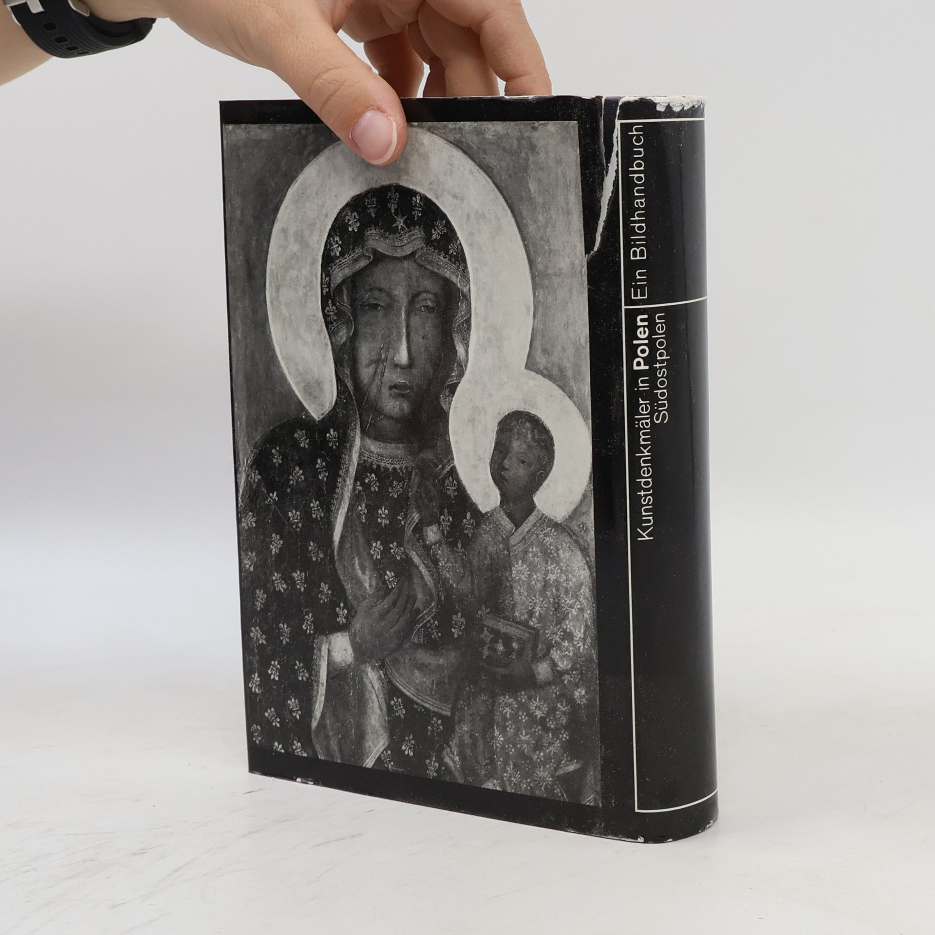 Autorenkollektiv Kunstdenkmäler in Polen. Südostpolen