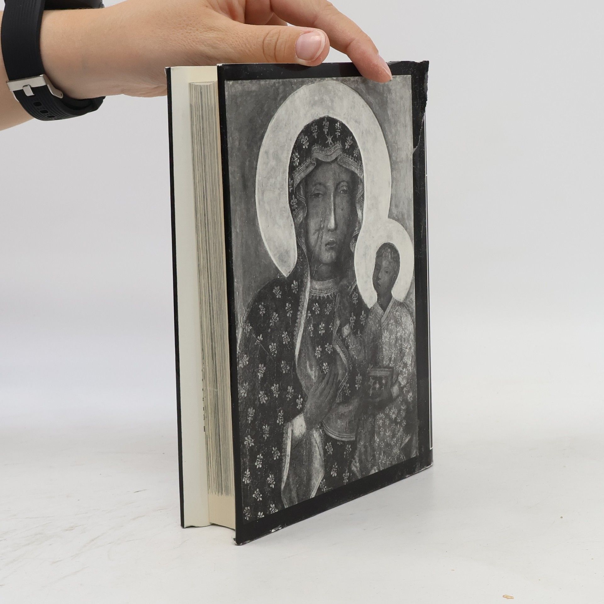 Autorenkollektiv Kunstdenkmäler in Polen. Südostpolen