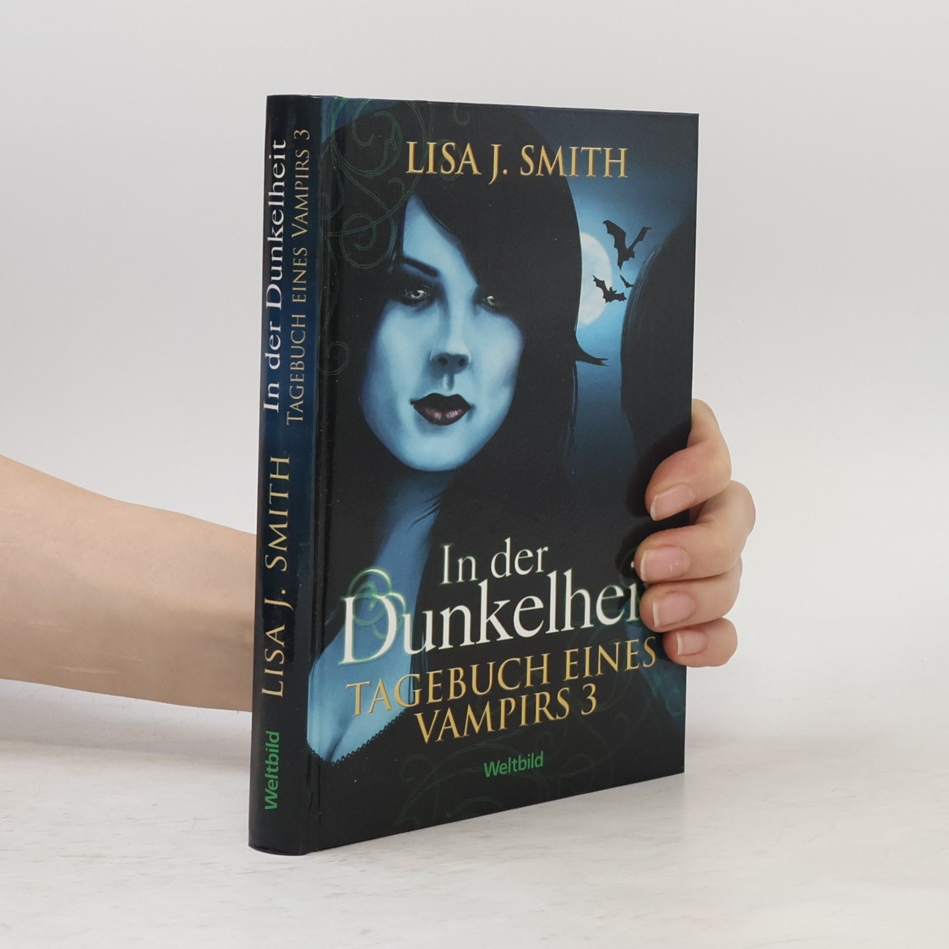 Lisa J. Smith Tagebuch eines Vampirs 3. In der Dunkelheit