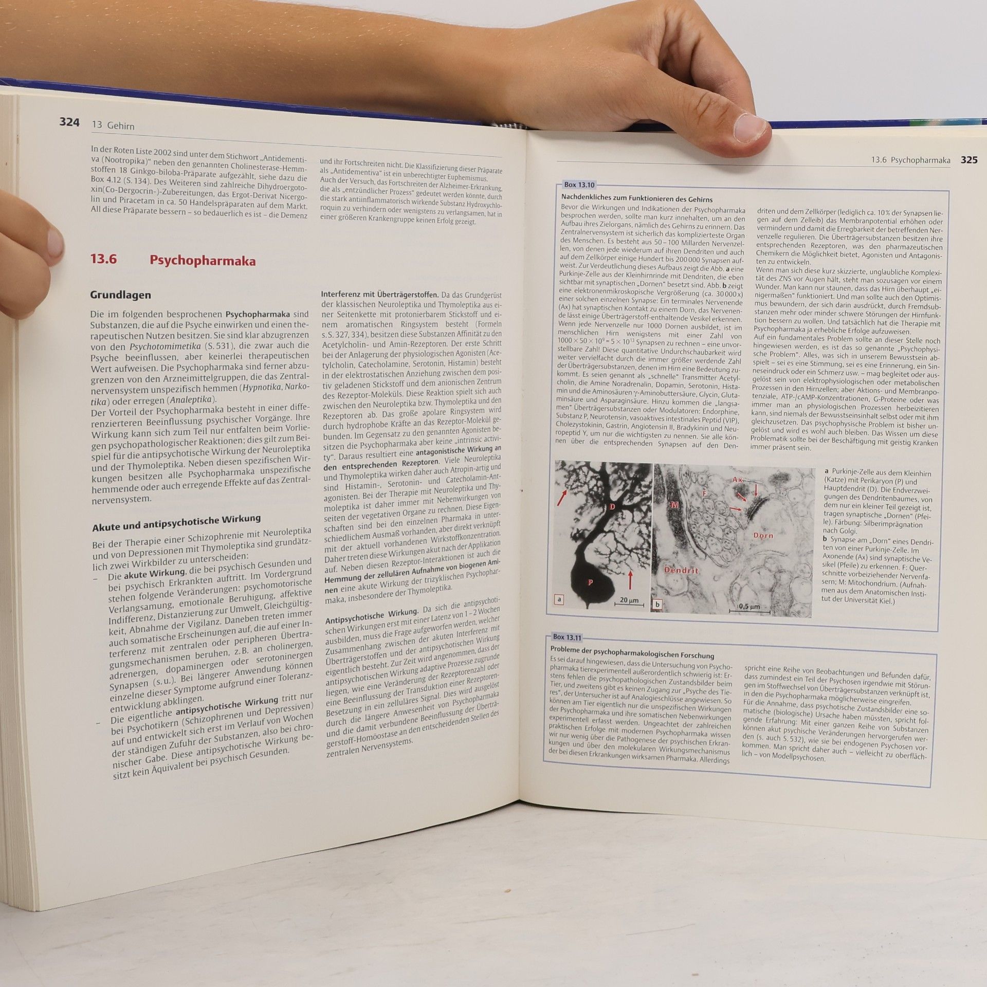 Heinz Lullmann Pharmakologie und Toxikologie