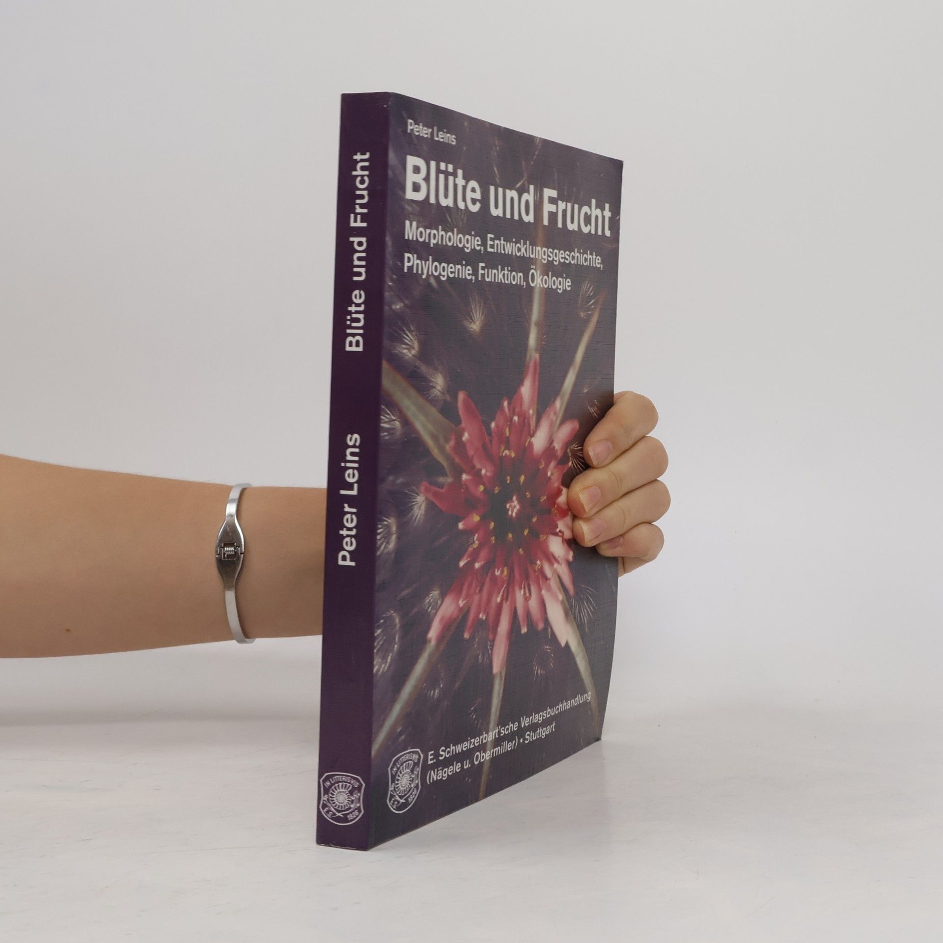 Claudia Erbar Blüte und Frucht