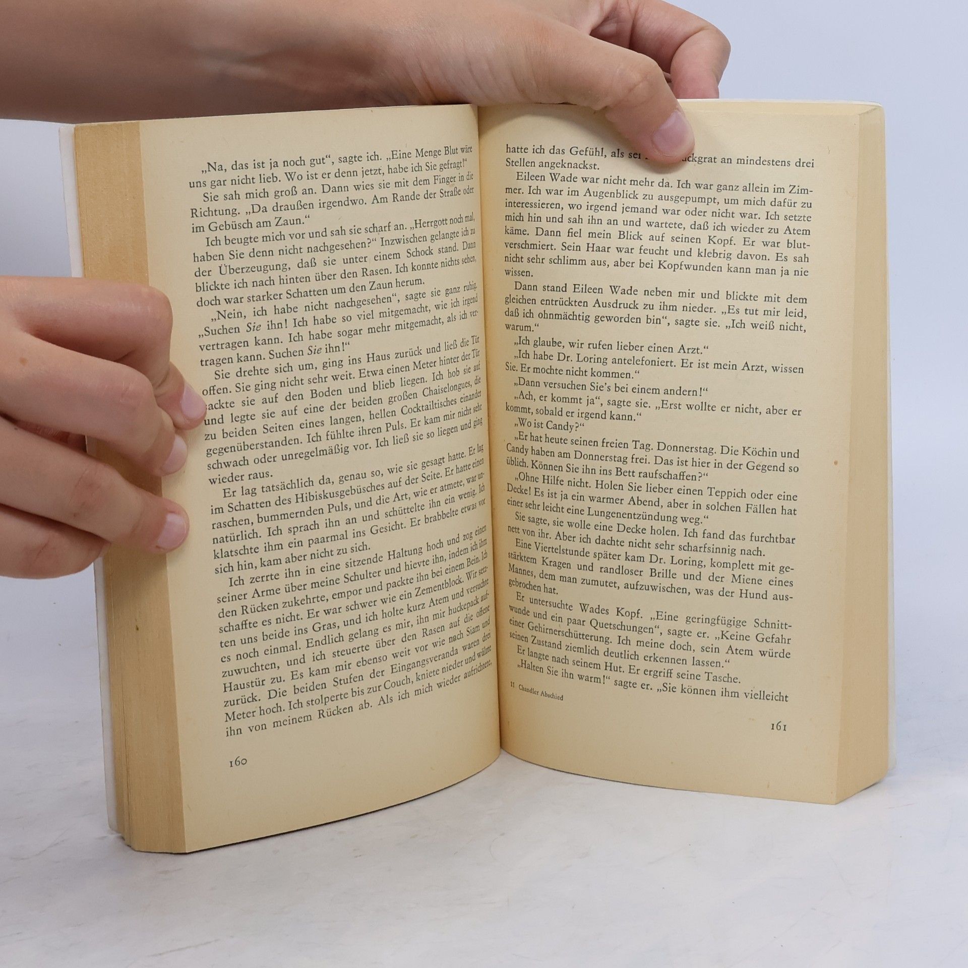 Raymond Chandler Der lange Abschied