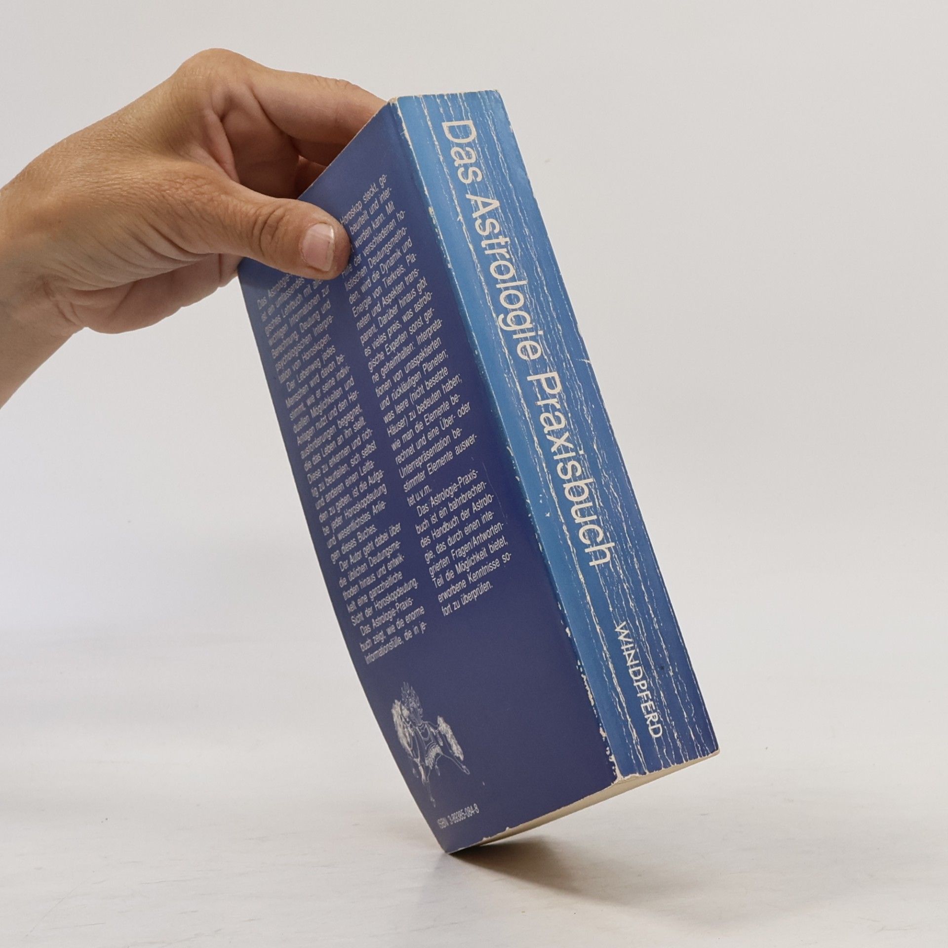 Halbe van der Velde Das Astrologie-Praxisbuch