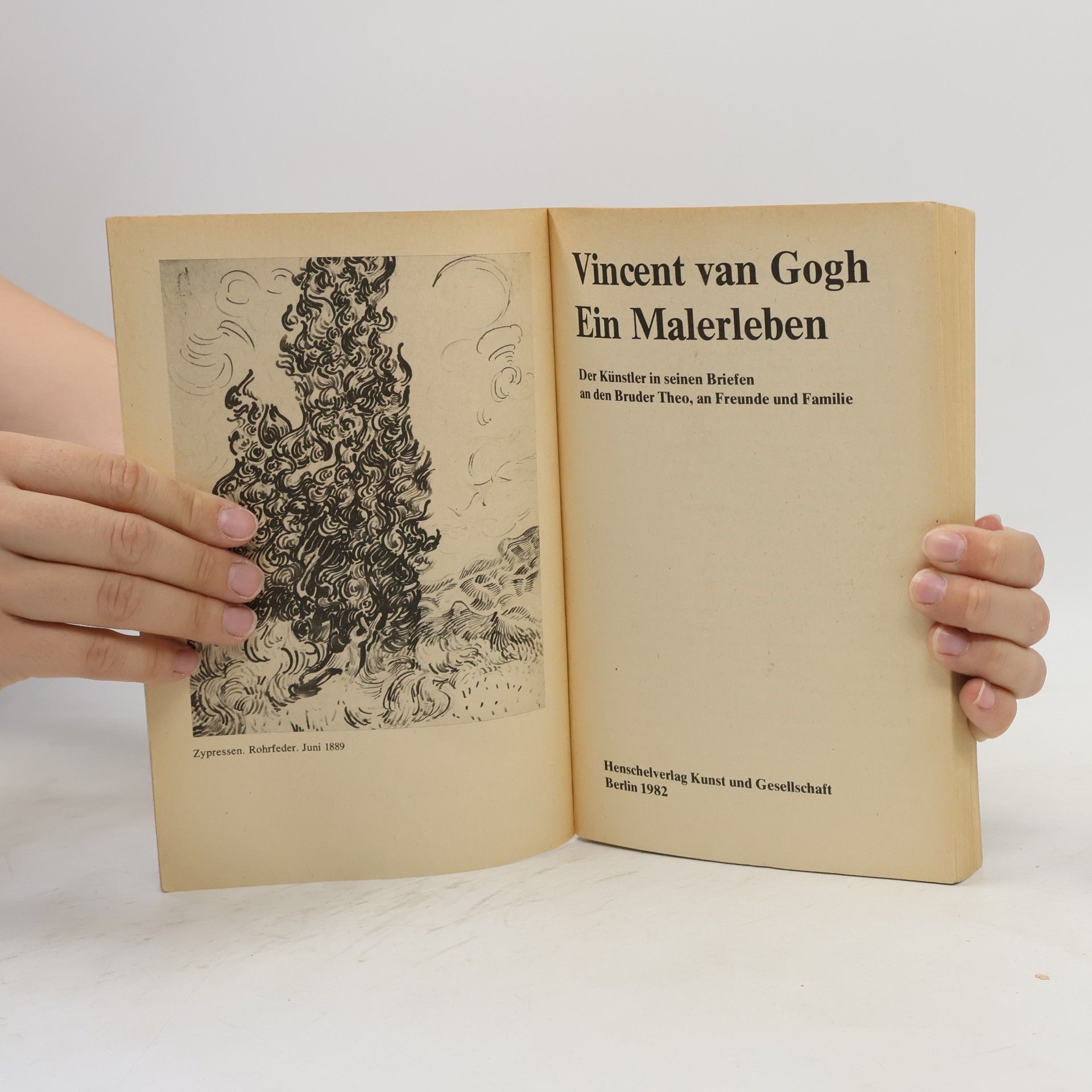 Vincent van Gogh Vincent van Gogh. Ein Malerleben