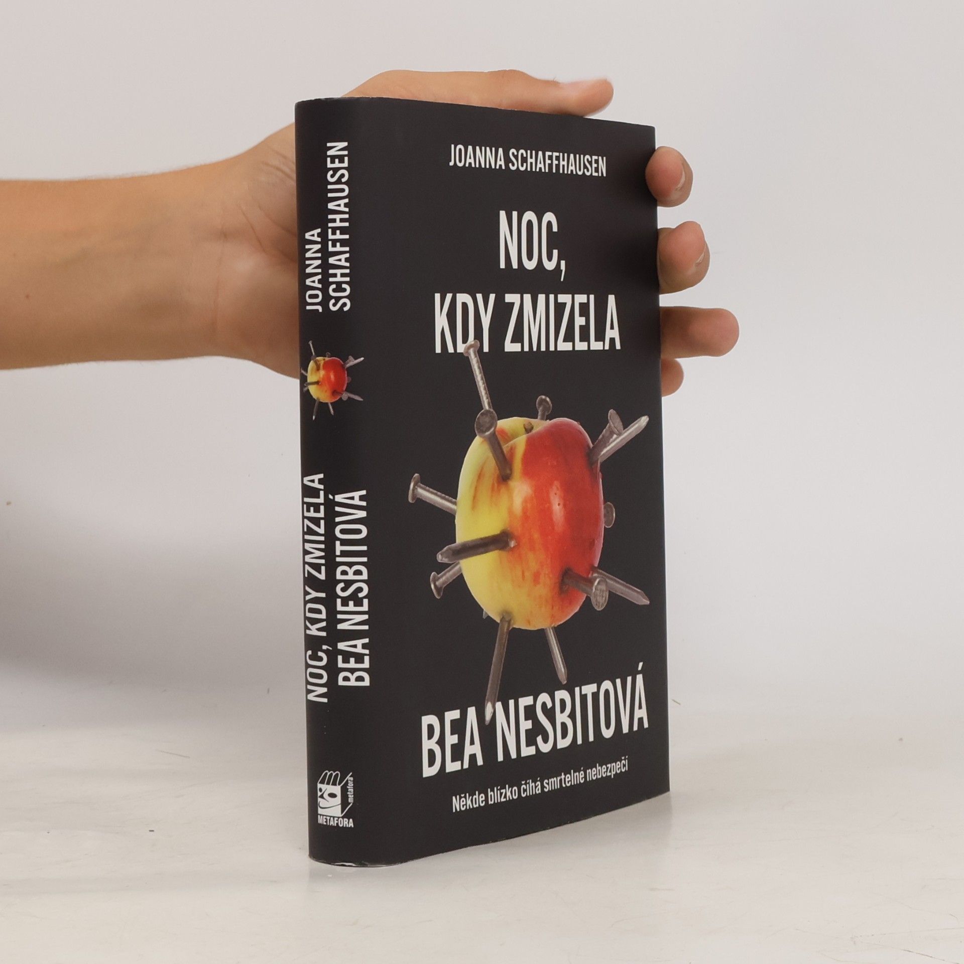 Joanna Schaffhausen Noc, kdy zmizela Bea Nesbitová