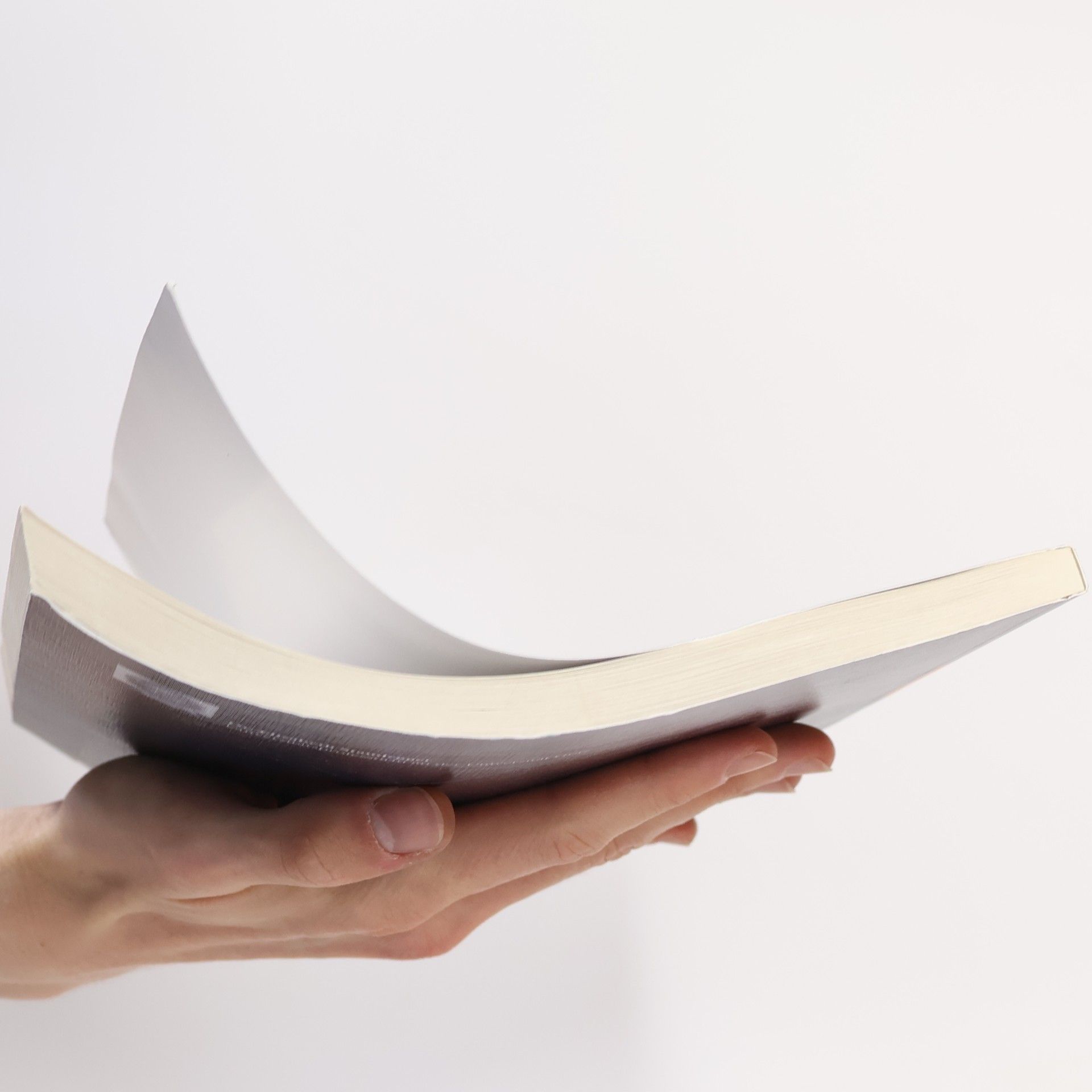 Elisabeth Staudegger Recht online gratis - 3. Auflage